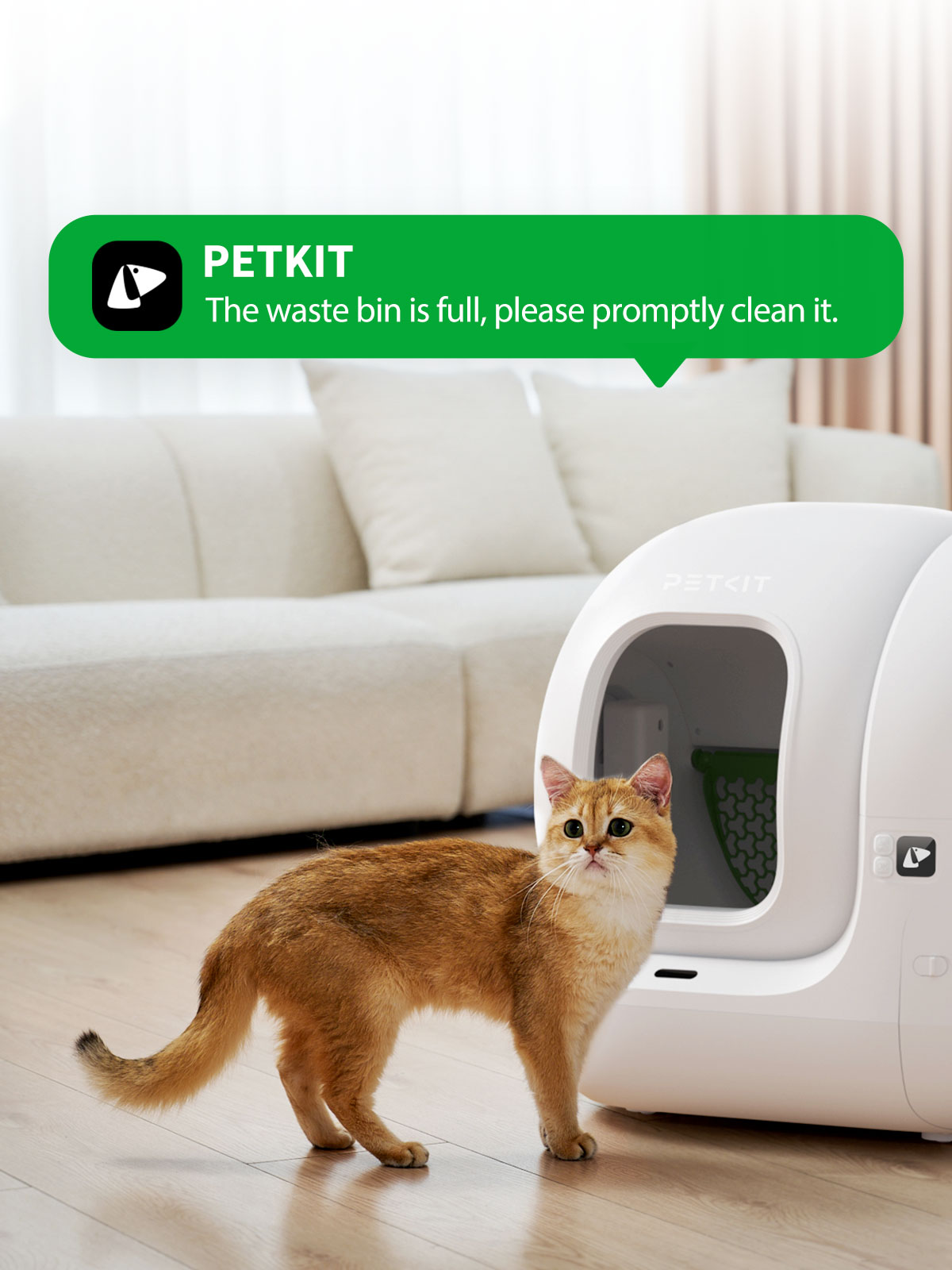 Eine goldfarbene Katze steht neben einer weißen, automatischen Katzentoilette. Eine Nachricht sagt: „Der Abfallbehälter ist voll“.