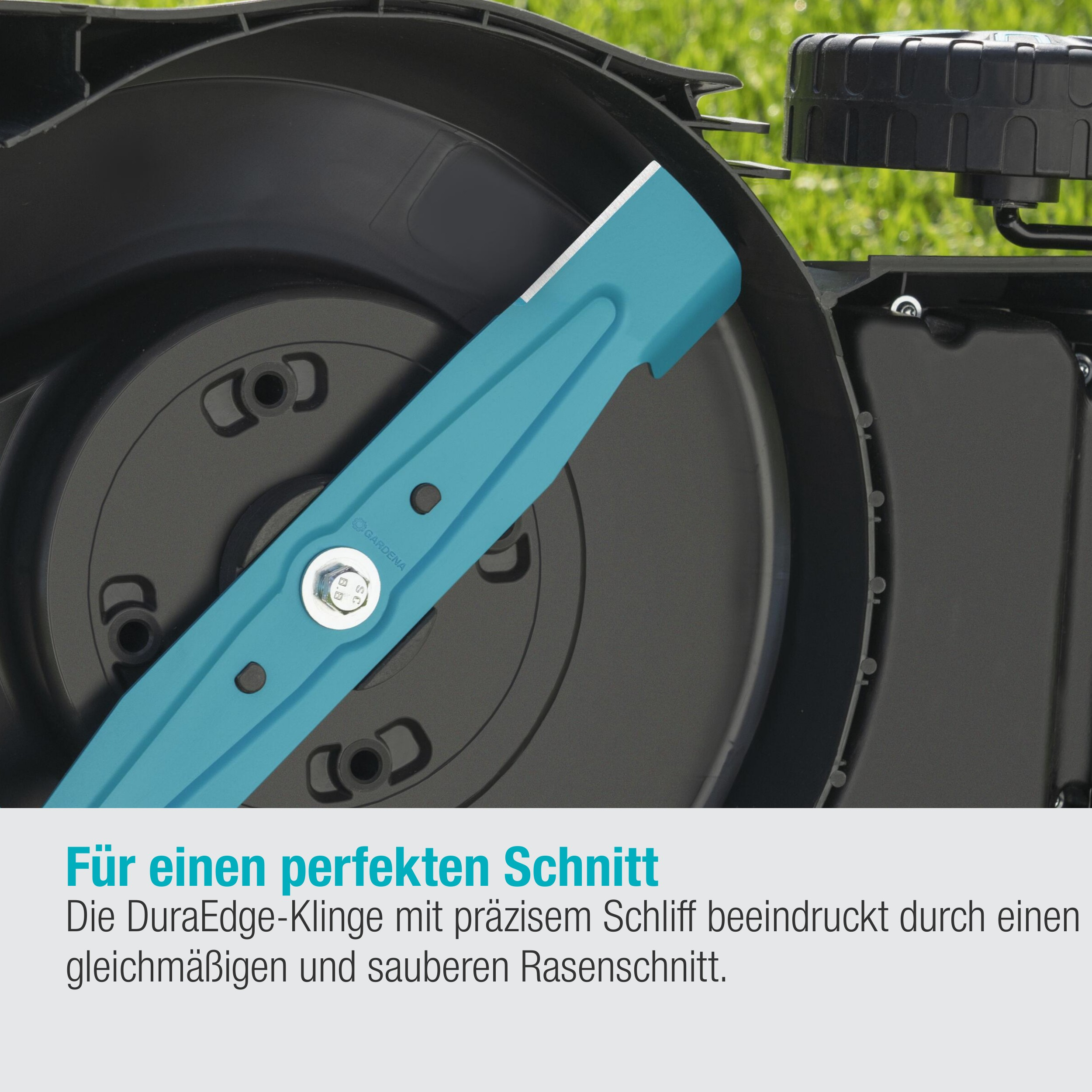 Eine Rasenmäherklinge ist sichtbar. Sie ist türkis und an einem Rasenmäher installiert.