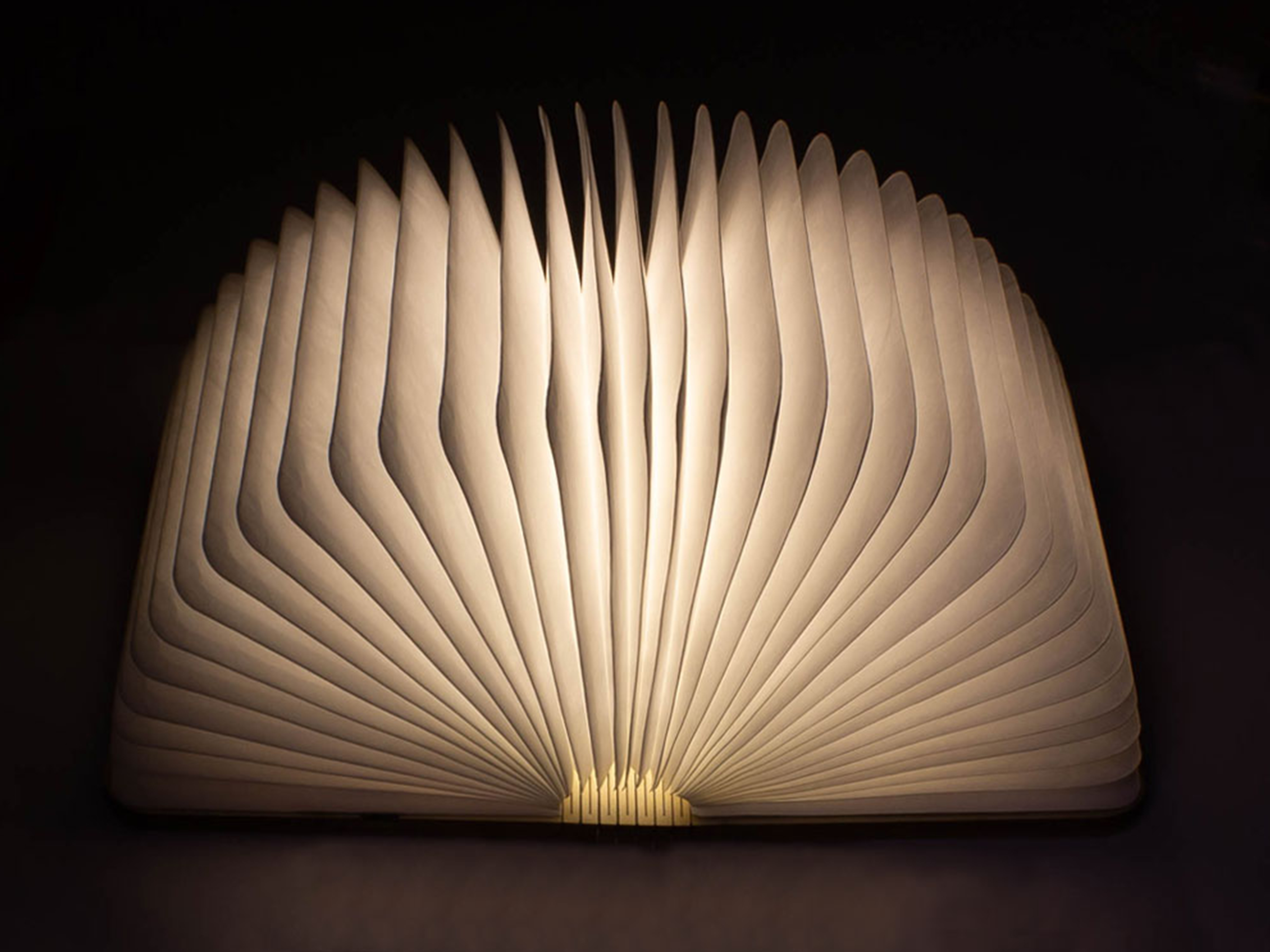 Lampada a forma di libro aperta, che brilla intensamente su uno sfondo scuro.