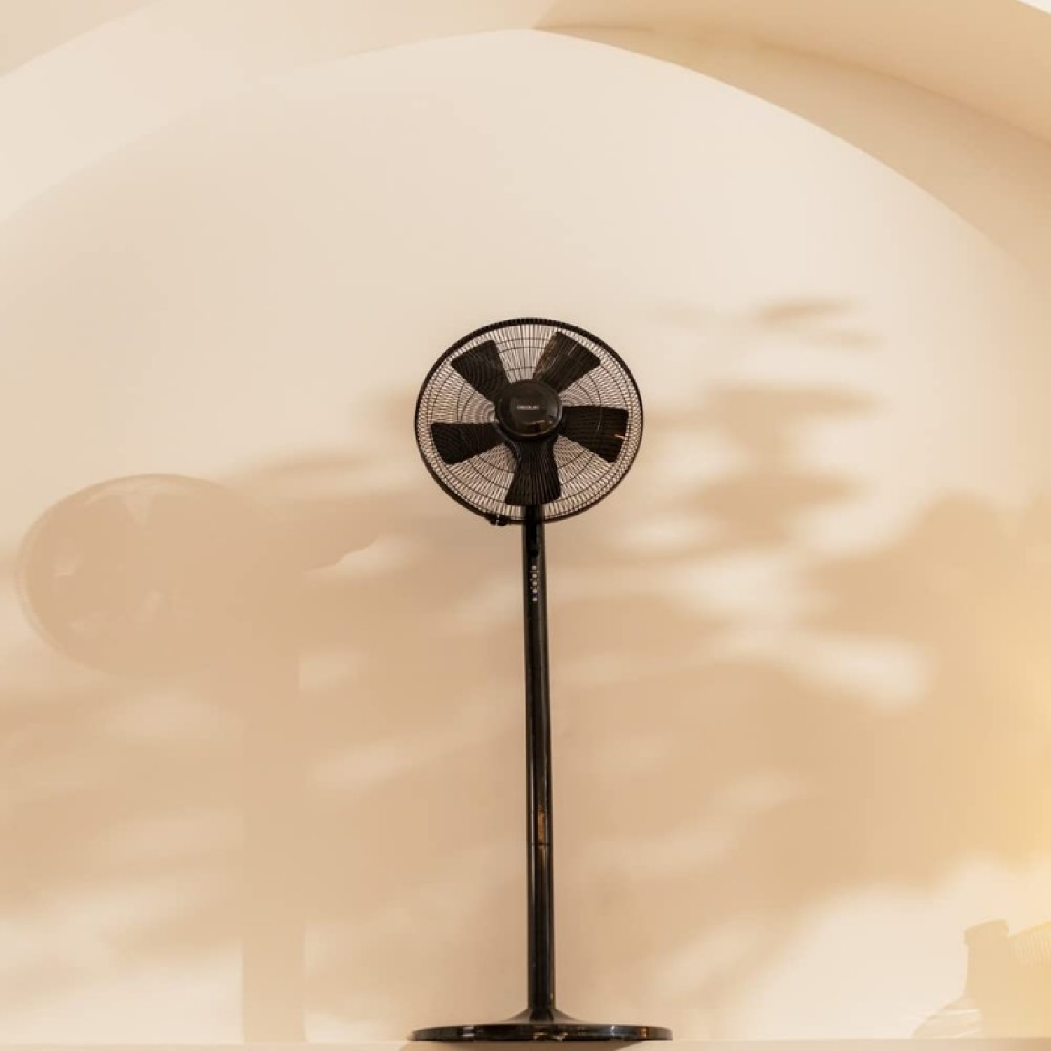 Czarny, wysoki wentylator stojący na tle jasnej ściany; łukowy sufit.