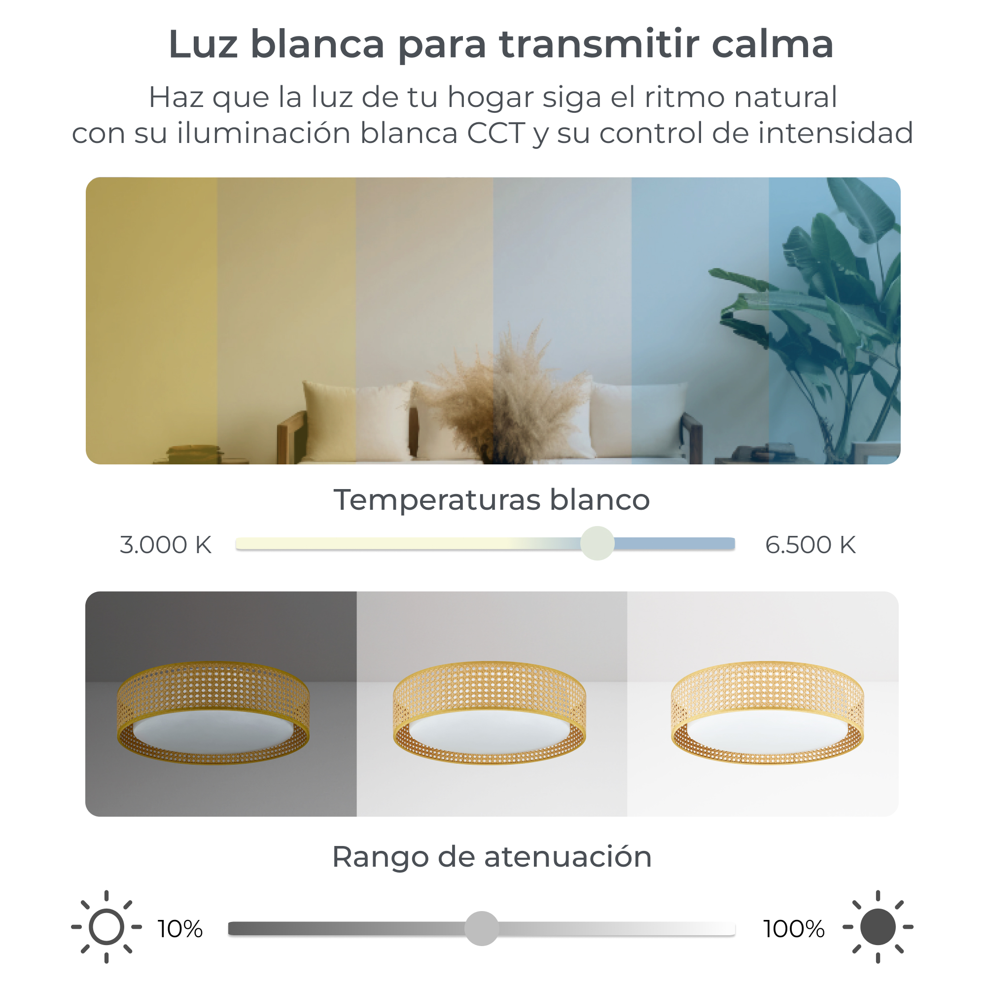 Oprawa sufitowa emitująca białe światło, z różnymi temperaturami barwowymi i opcjami ściemniania.