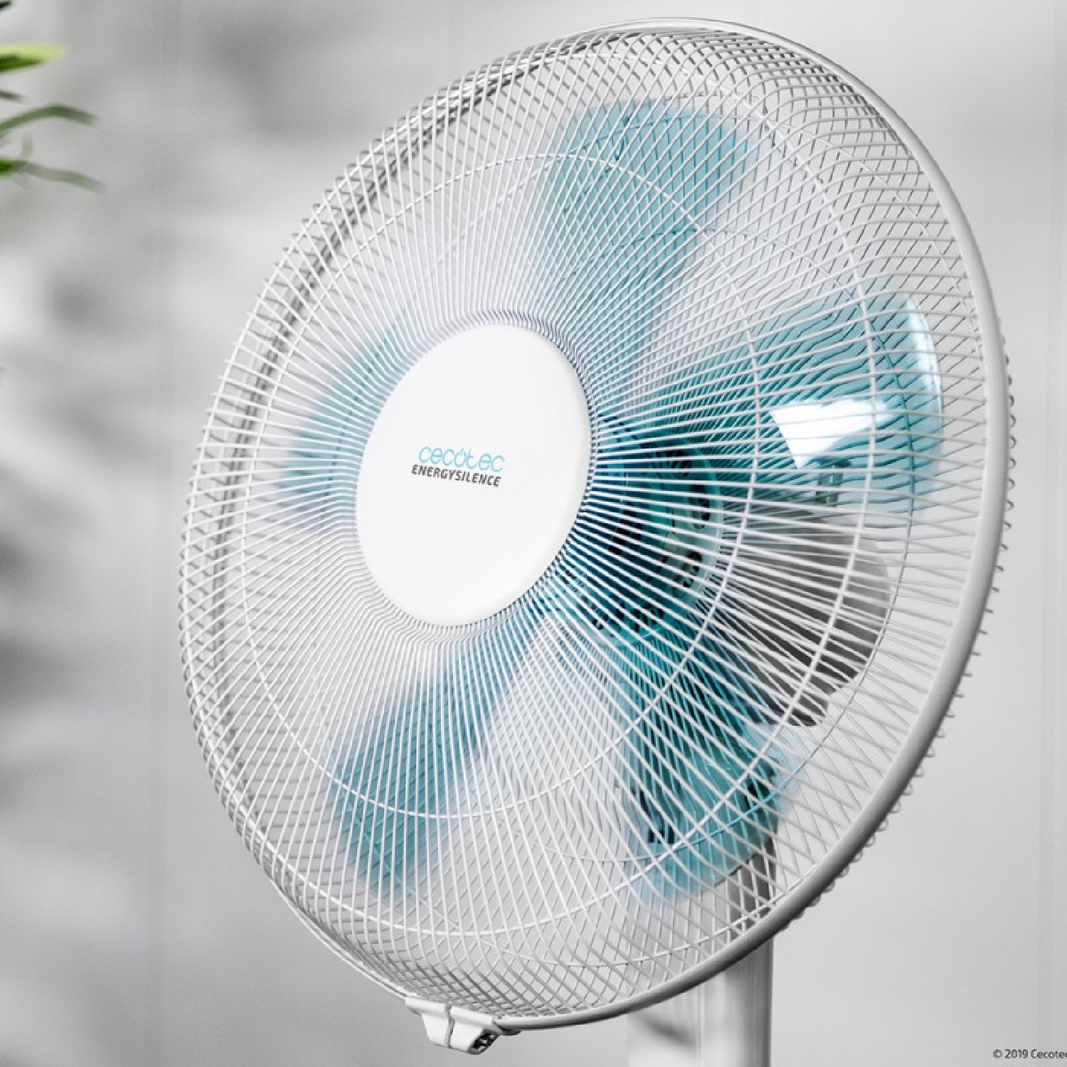 Biały wentylator z niebieskimi łopatkami. Posiada kratkę ochronną. Widoczne logo 'CECOTEC ENERGY SILENCE'.