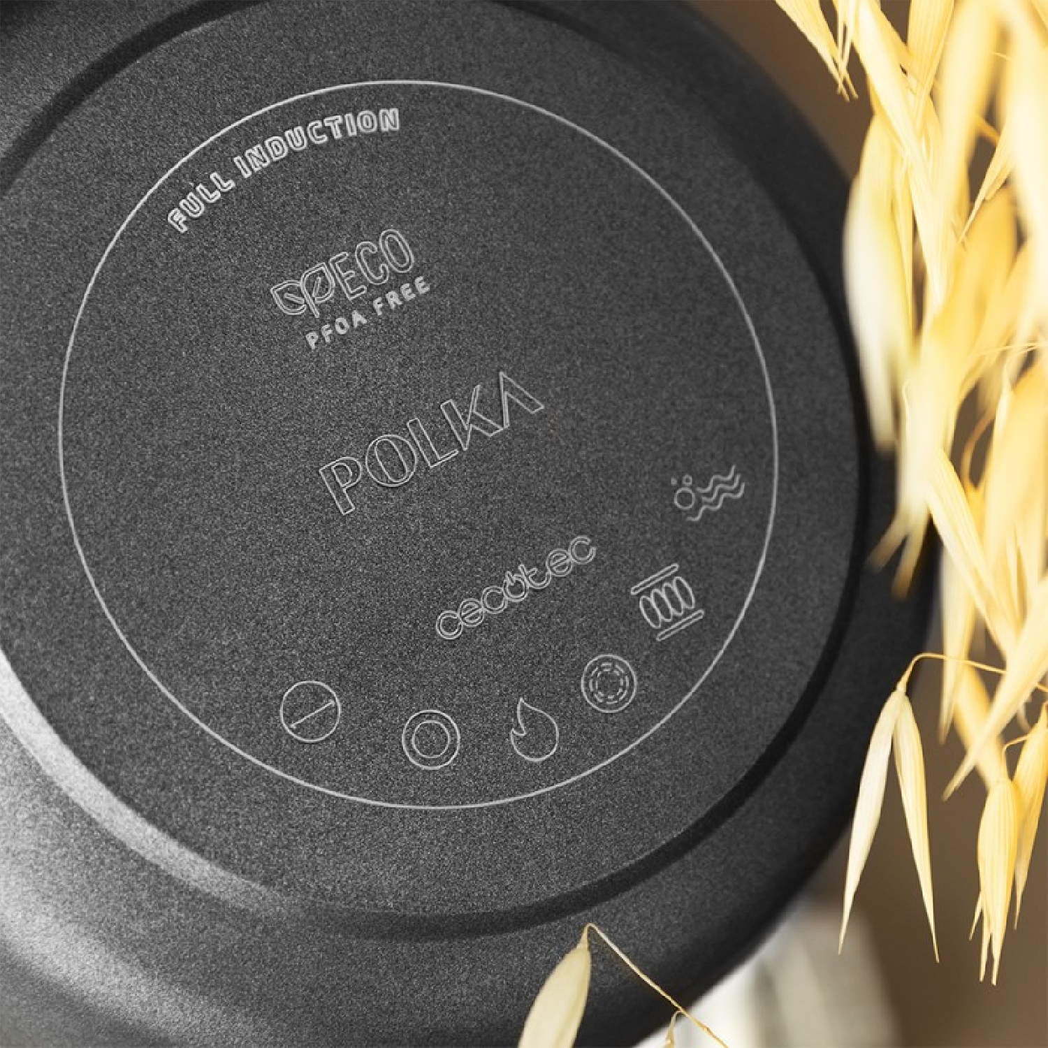 Primo piano del fondo di una padella nera. Il testo recita: Full induction, Polka e Cecotec. Grano secco sullo sfondo.