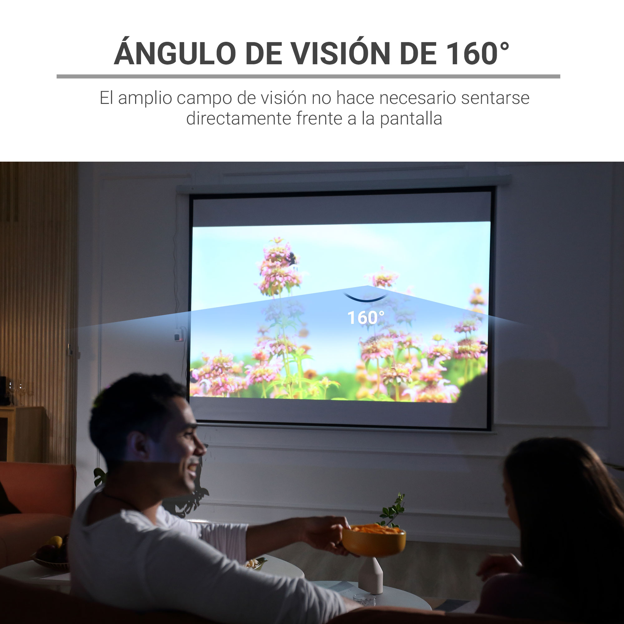Gente viendo imagen proyectada. La pantalla muestra un paisaje. Texto: '160°' y 'ángulo de visión'.