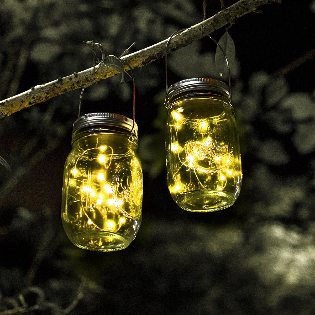 Zwei Gläser mit Lichterketten hängen an einem Ast. Nachtszene, Lichter leuchten.