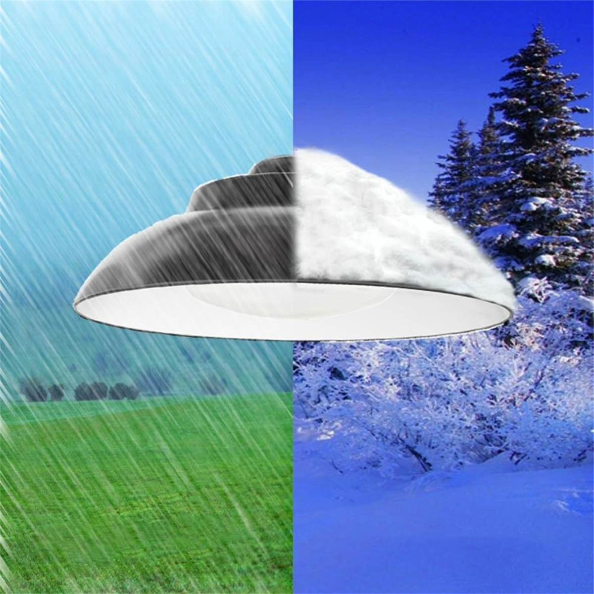 Bild geteilt mit Regen/Schnee und Gras/verschneiten Bäumen.