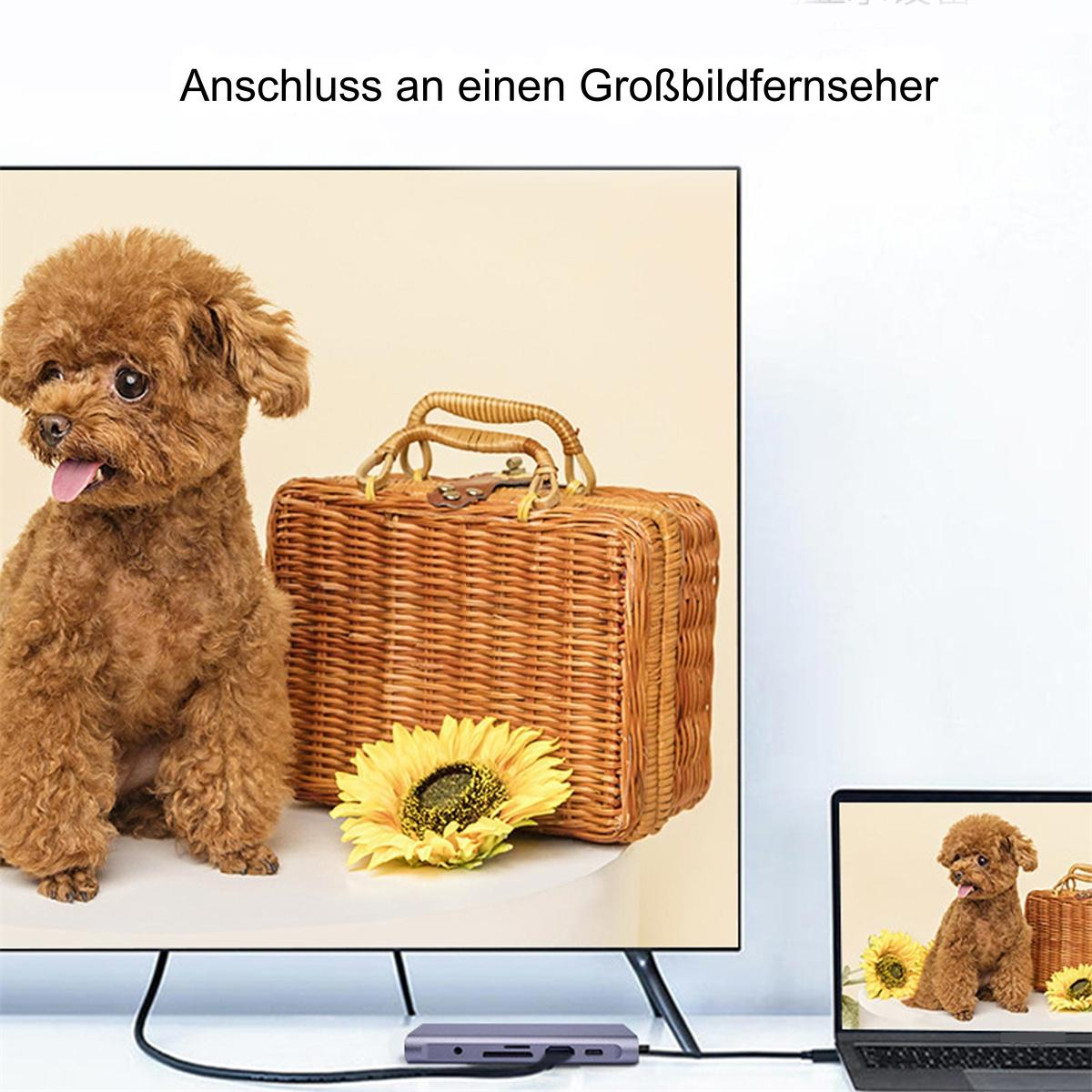 Ein Hund und ein Koffer sind auf einem Fernsehbildschirm zu sehen. Ein Laptop ist mit dem Fernseher verbunden, der dieselbe Szene zeigt.