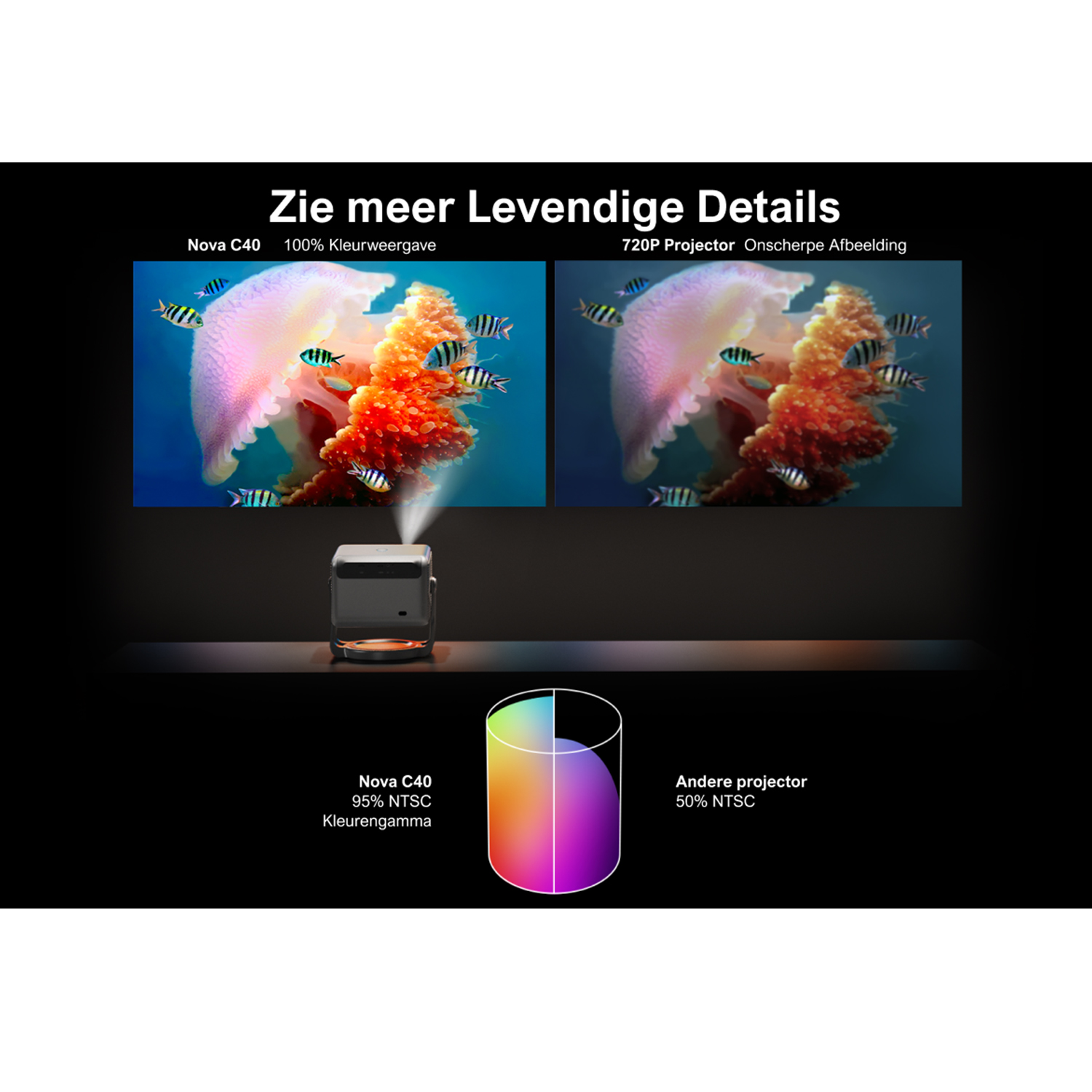Projector comparison showing color and clarity. The left image is brighter, while the right is blurrier.