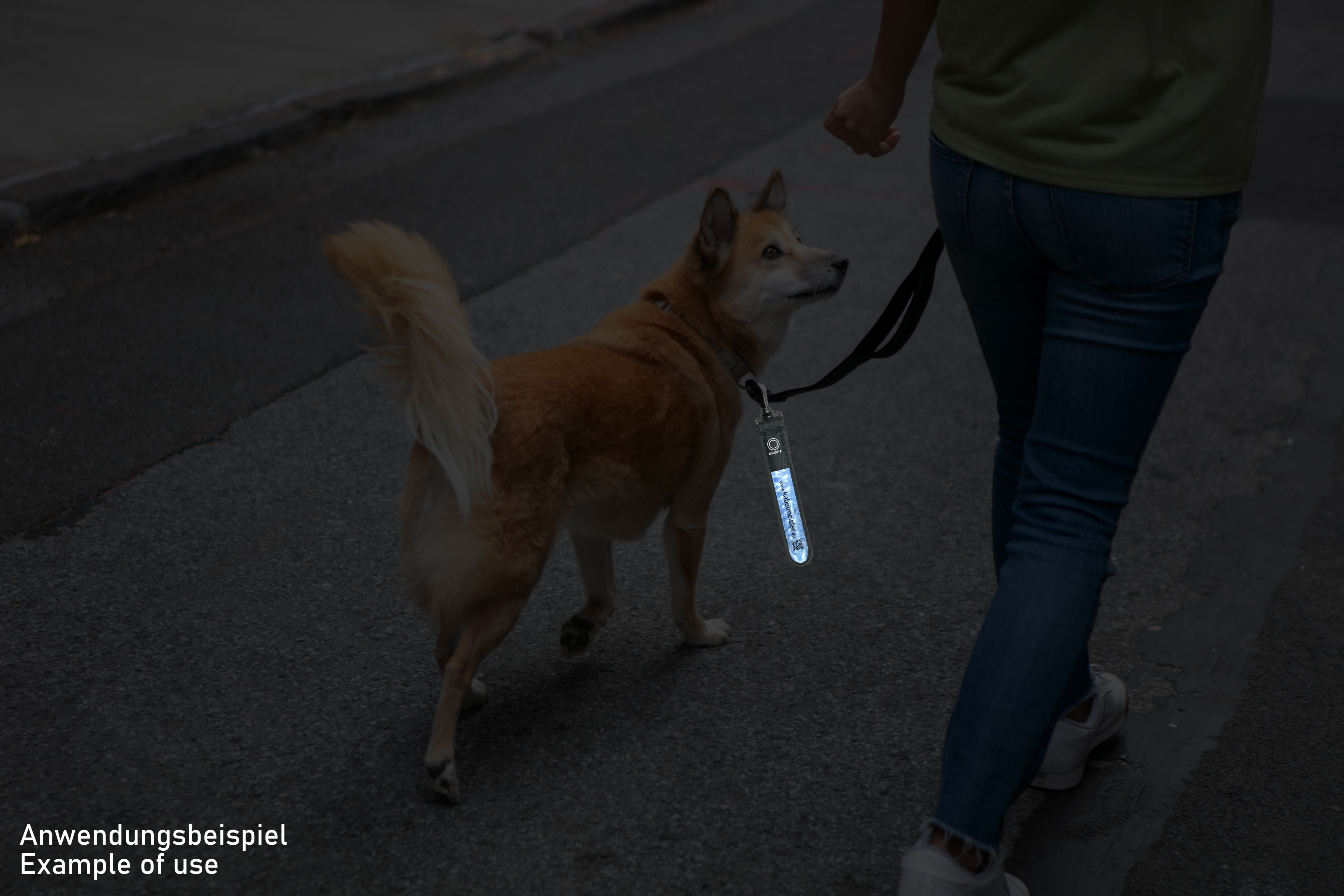 Eine Person führt einen Hund an der Leine auf der Straße. Der Hund hat ein reflektierendes Halsband.
