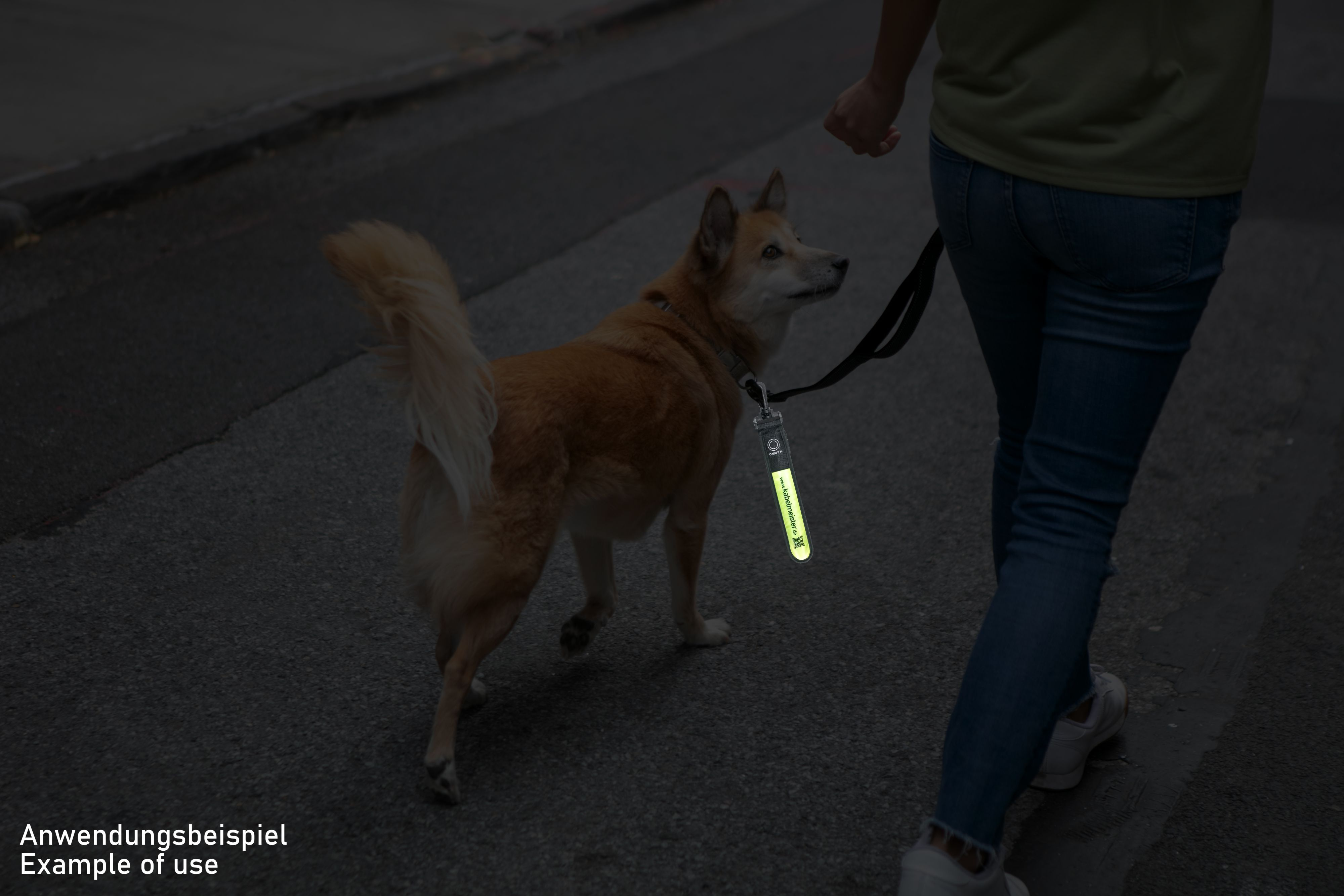 Person geht mit Hund mit reflektierendem Anhänger in der Dämmerung.