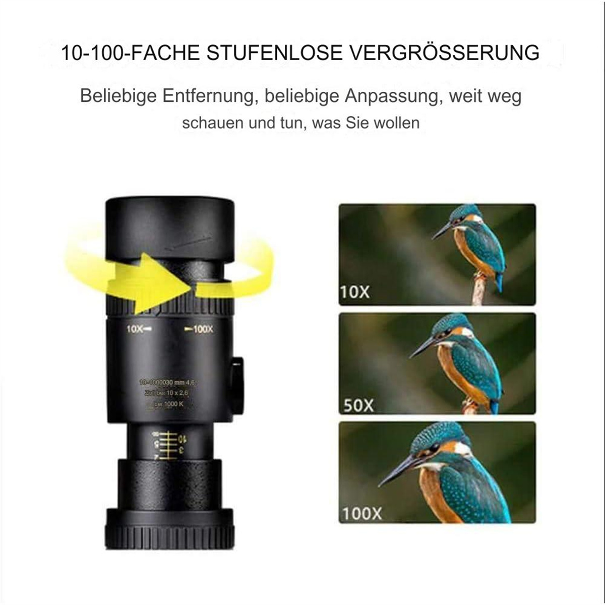 Ein schwarzes Teleskop mit Text und Illustrationen eines Eisvogels bei 10x, 50x und 100x Zoom.
