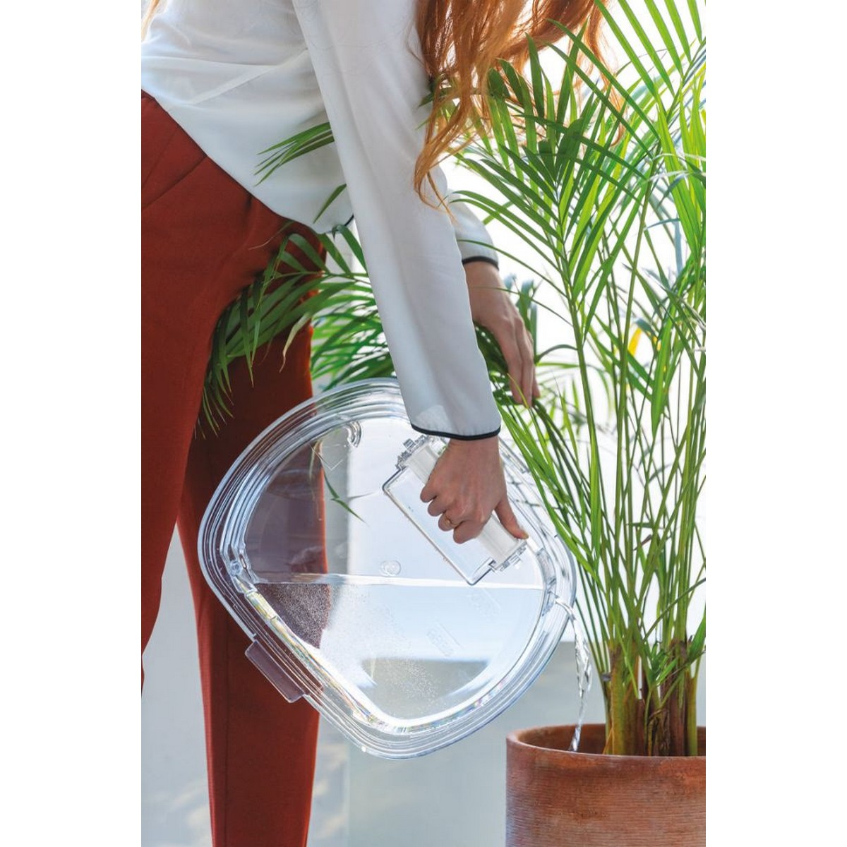 Donna che innaffia una pianta. Tiene un annaffiatoio trasparente, versando acqua sulla pianta.