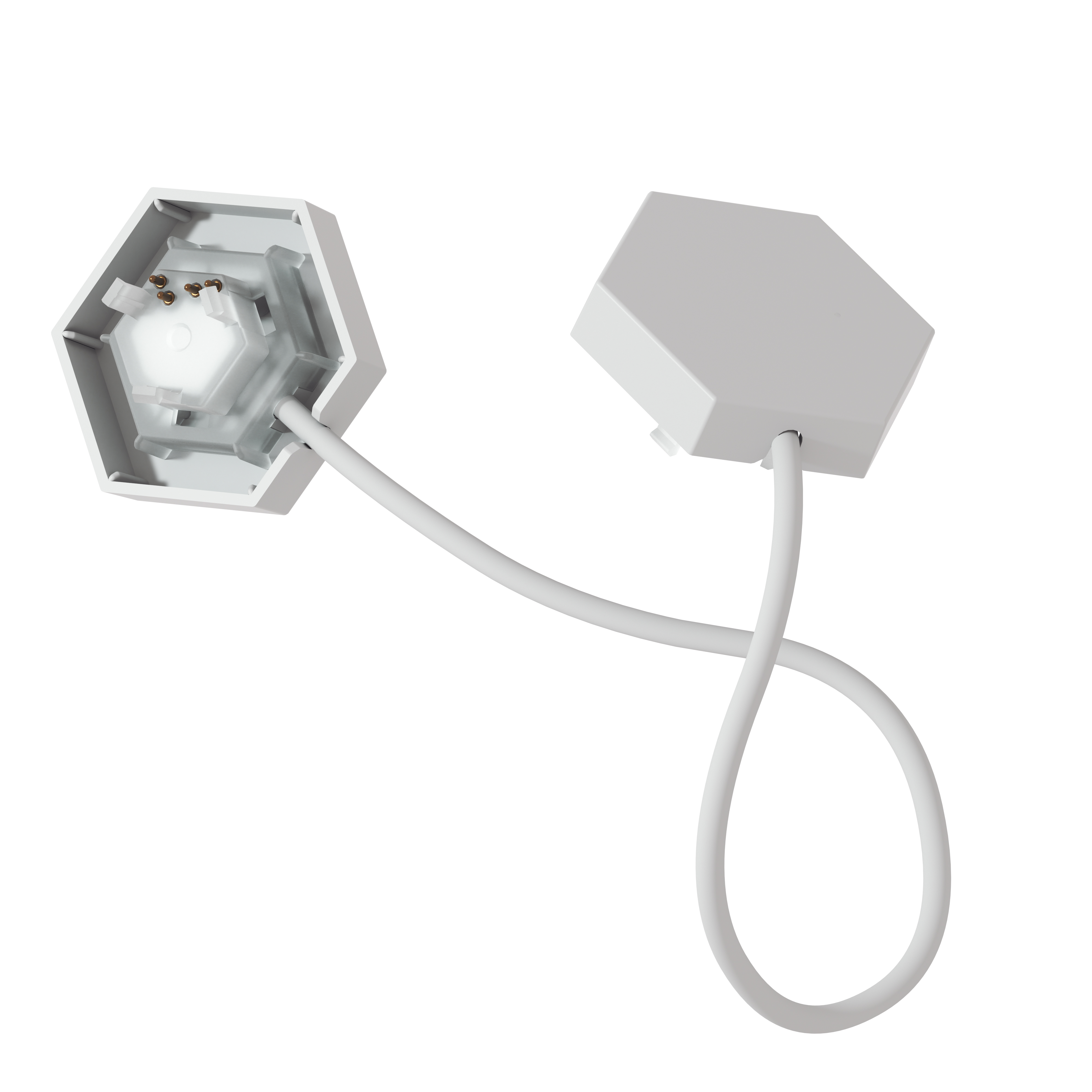 Zwei weiße sechseckige elektrische Gehäuseteile, verbunden durch ein weißes Kabel.