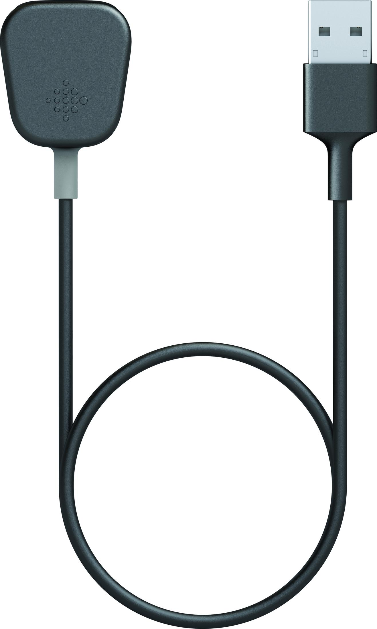 Schwarzes Fitbit-Ladekabel mit rundem Ladekopf und USB-Ende.