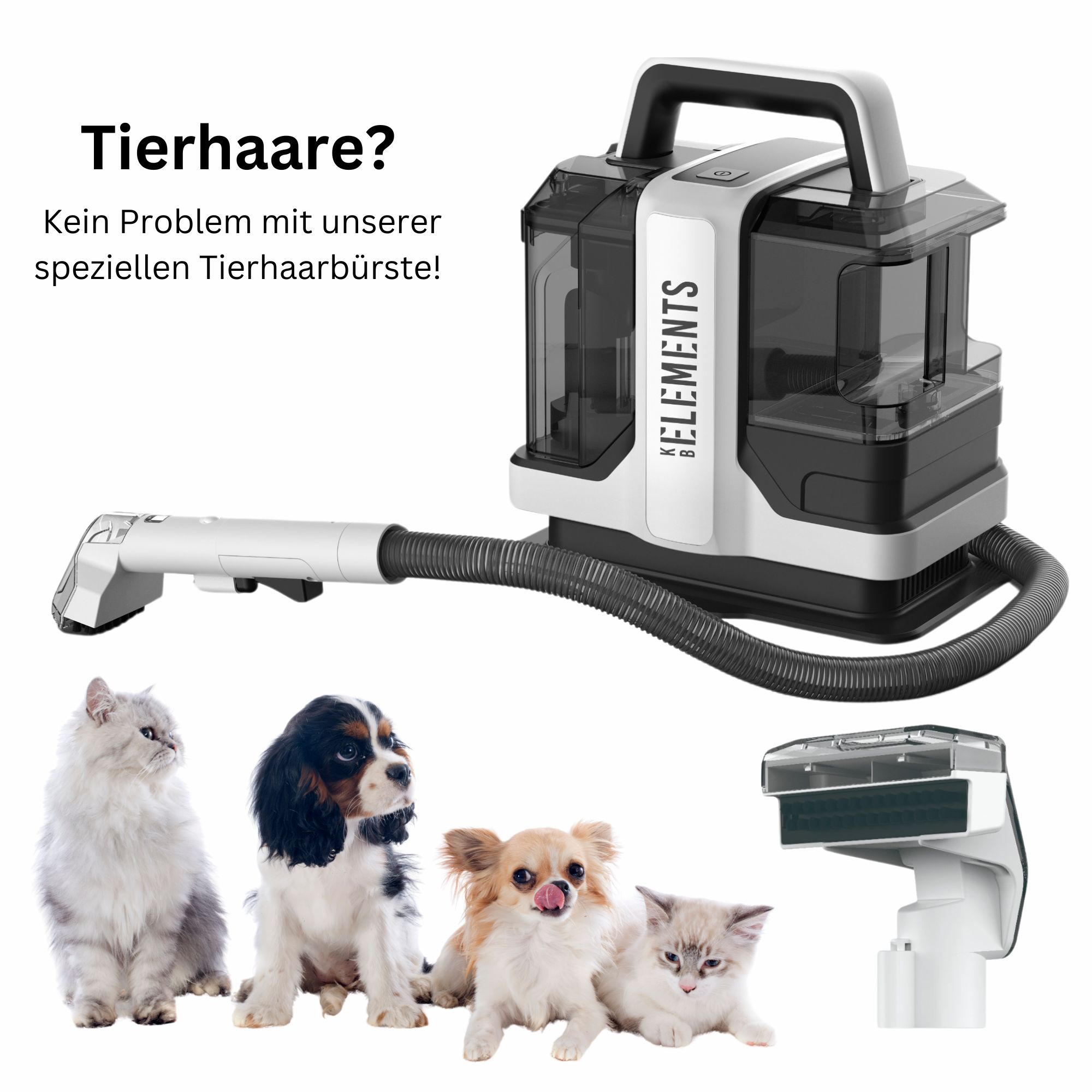 Ein Staubsauger, Text und vier Haustiere (Katze, Hund, Hund, Katze) werden gezeigt.