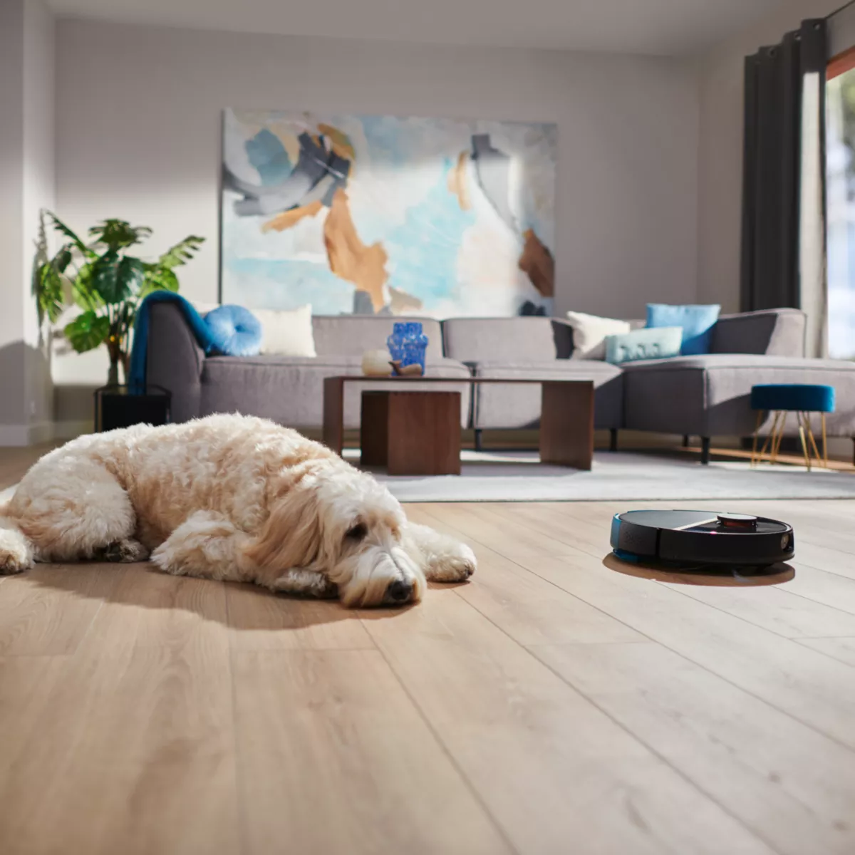 Wohnzimmer mit Hund auf dem Boden und Roboterstaubsauger.