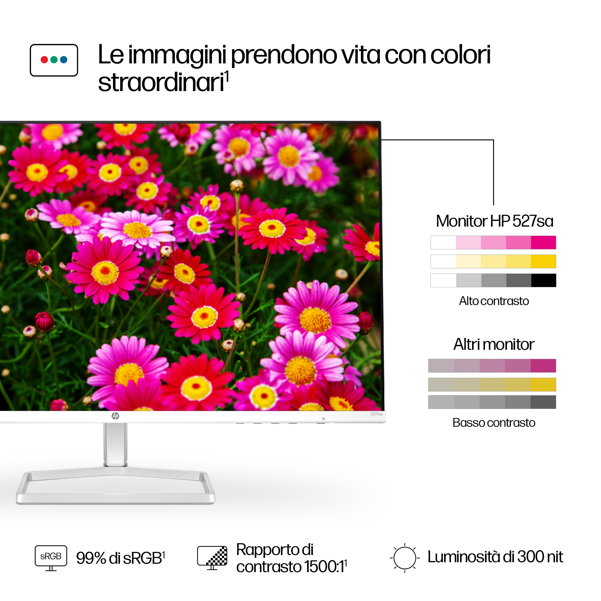 Monitor wyświetla kolorowe kwiaty, tekst i skalę kontrastu.