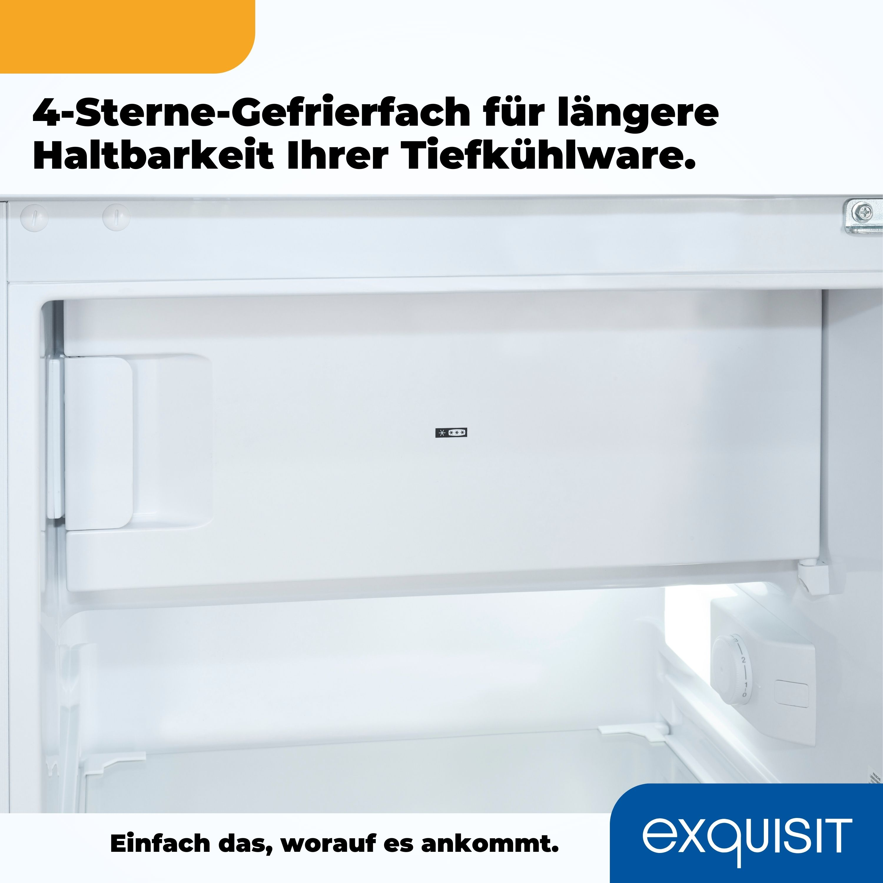 Das Innere eines weißen Gefrierschranks mit Regalen und einer Schublade.
