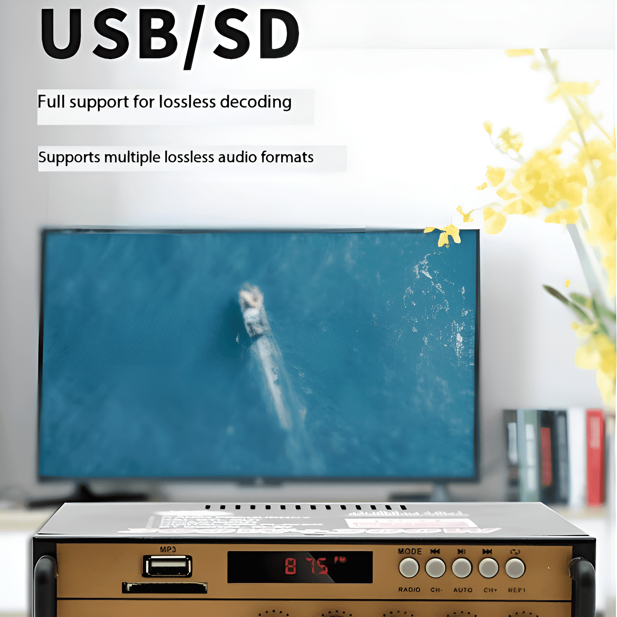 Ein schwarzer Mediaplayer mit einem Fernsehbildschirm, der einen Film zeigt. Bietet USB/SD-Unterstützung.