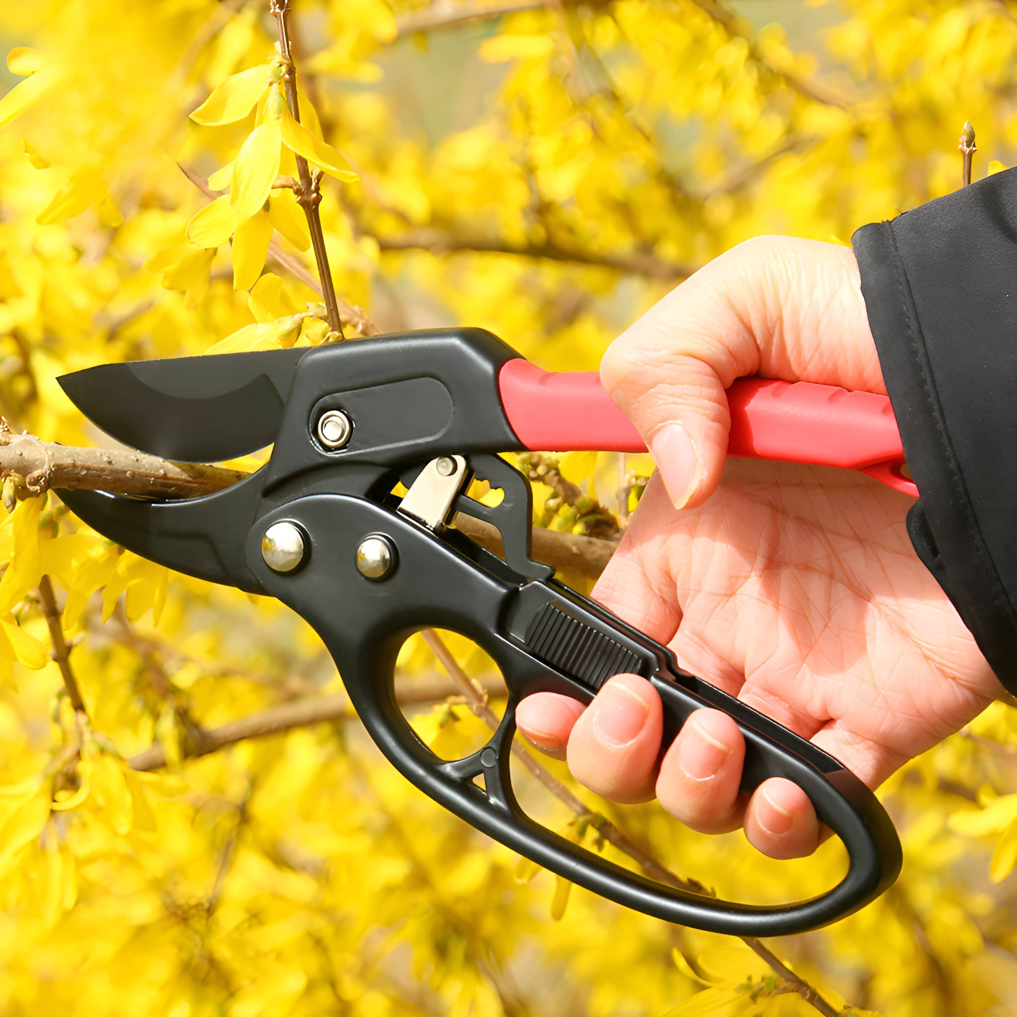 Hand, die Gartenscheren mit rotem Griff hält, gelbe Blumen im Hintergrund.