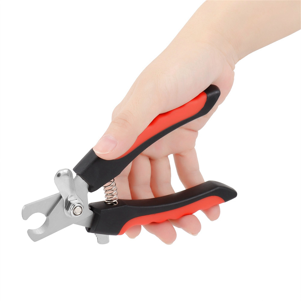 Hand, die Krallenscheren für Haustiere hält; rot-schwarzer Griff.