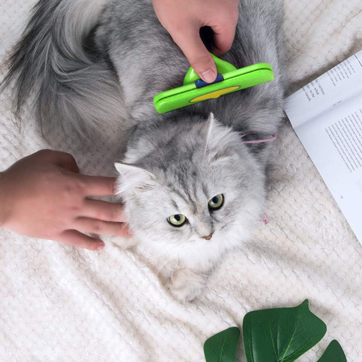 Graue Katze wird mit grüner Bürste gebürstet. Hände sichtbar. Weiße Decke.