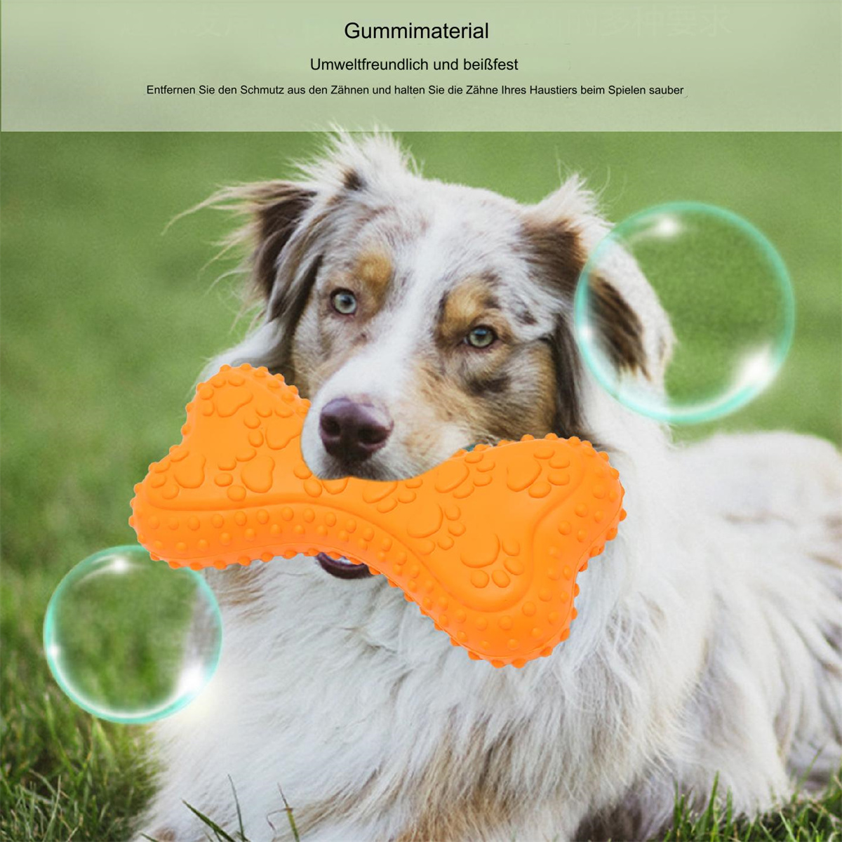 Hund mit orangefarbenem Knochenspielzeug. Blasen um den Hund. Text über umweltfreundliches Spielzeug.