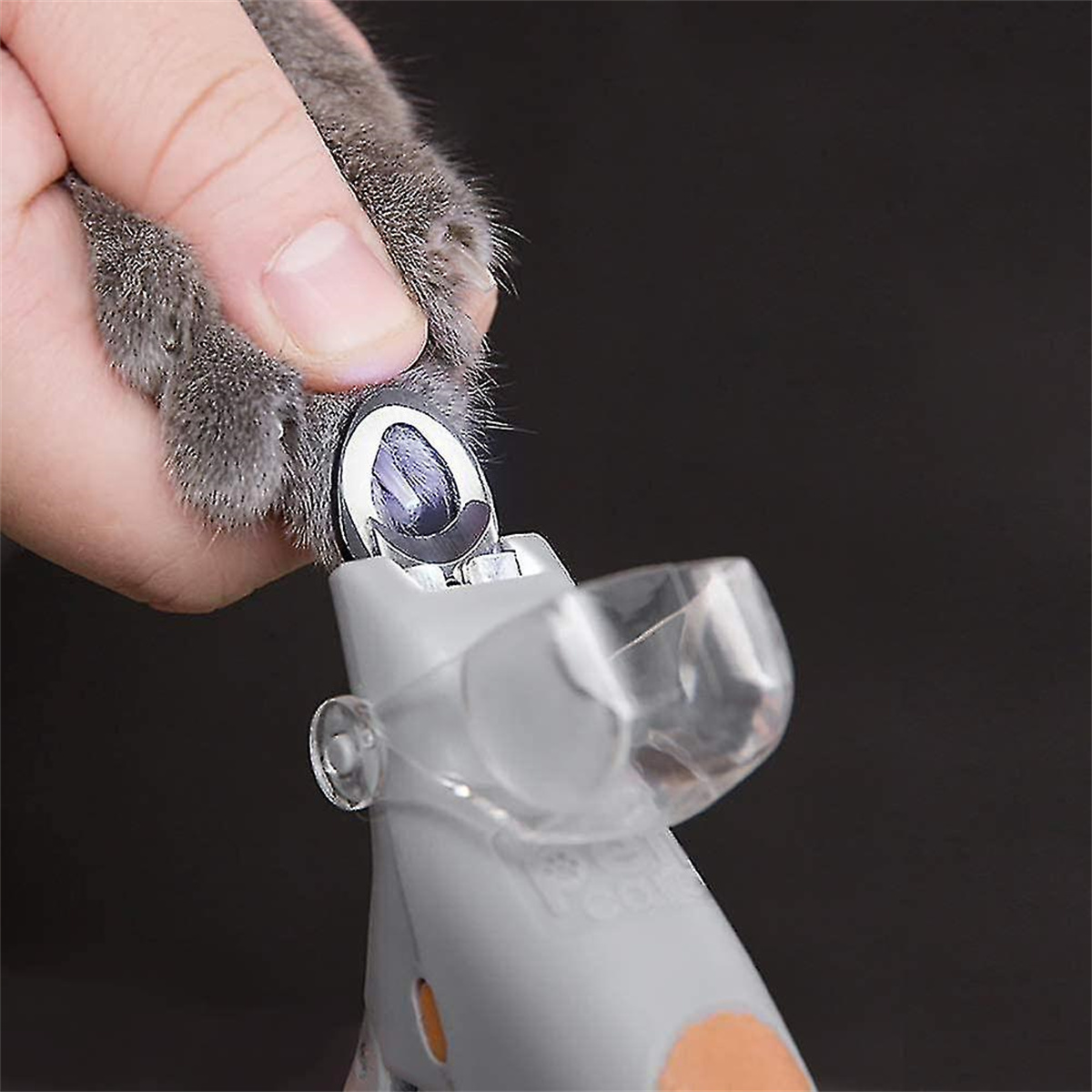 Eine Katzenpfote, die mit einem von einer Hand gehaltenen Nagelknipser getrimmt wird.