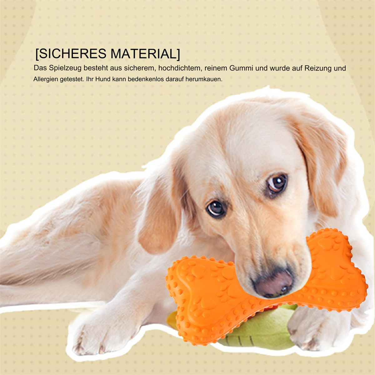 Hund hält oranges Knochenspielzeug mit grünem Untergrund. Das Spielzeug ist Gummi.