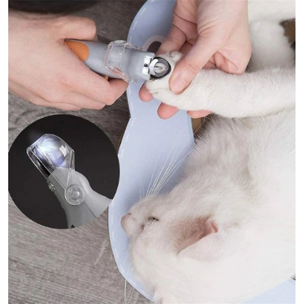 Katze bekommt die Krallen mit einem Nagelknipser geschnitten. Licht am Clipper.