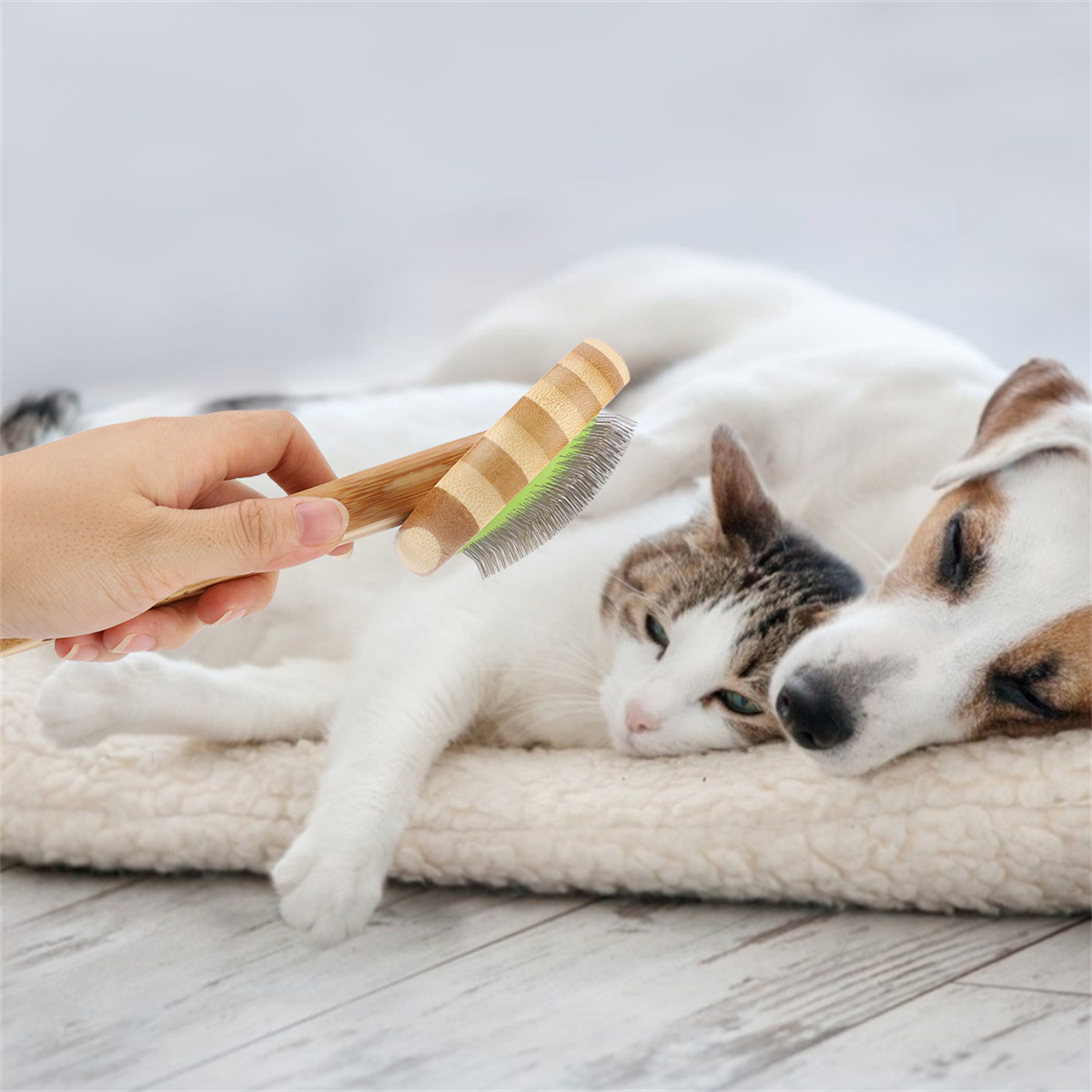 Eine Hand bürstet eine Katze und einen Hund, die zusammen auf einer weißen Decke liegen. Die Bürste ist aus Holz.
