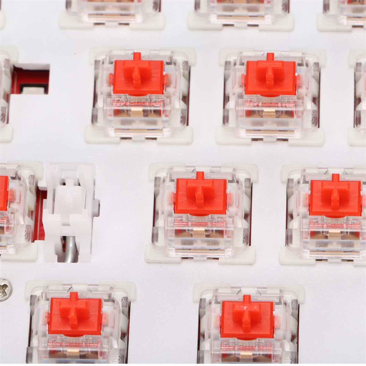 Nahaufnahme von roten mechanischen Tastaturschaltern in einer Tastatur. Transparentes Gehäuse.