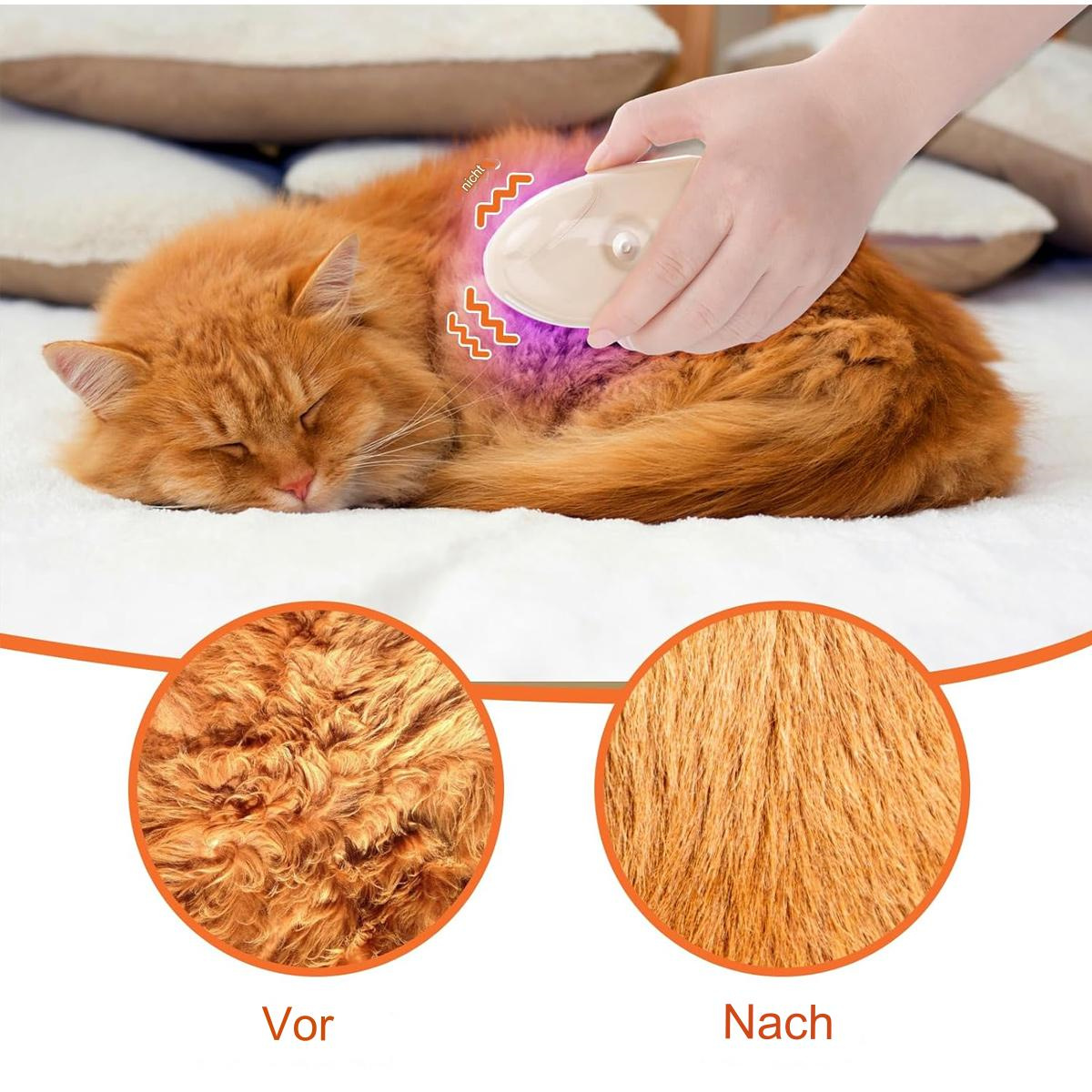 Orange Katze wird gepflegt. Der Fellvergleich zeigt 'vor' und 'nach', vor und nach dem Bürsten.