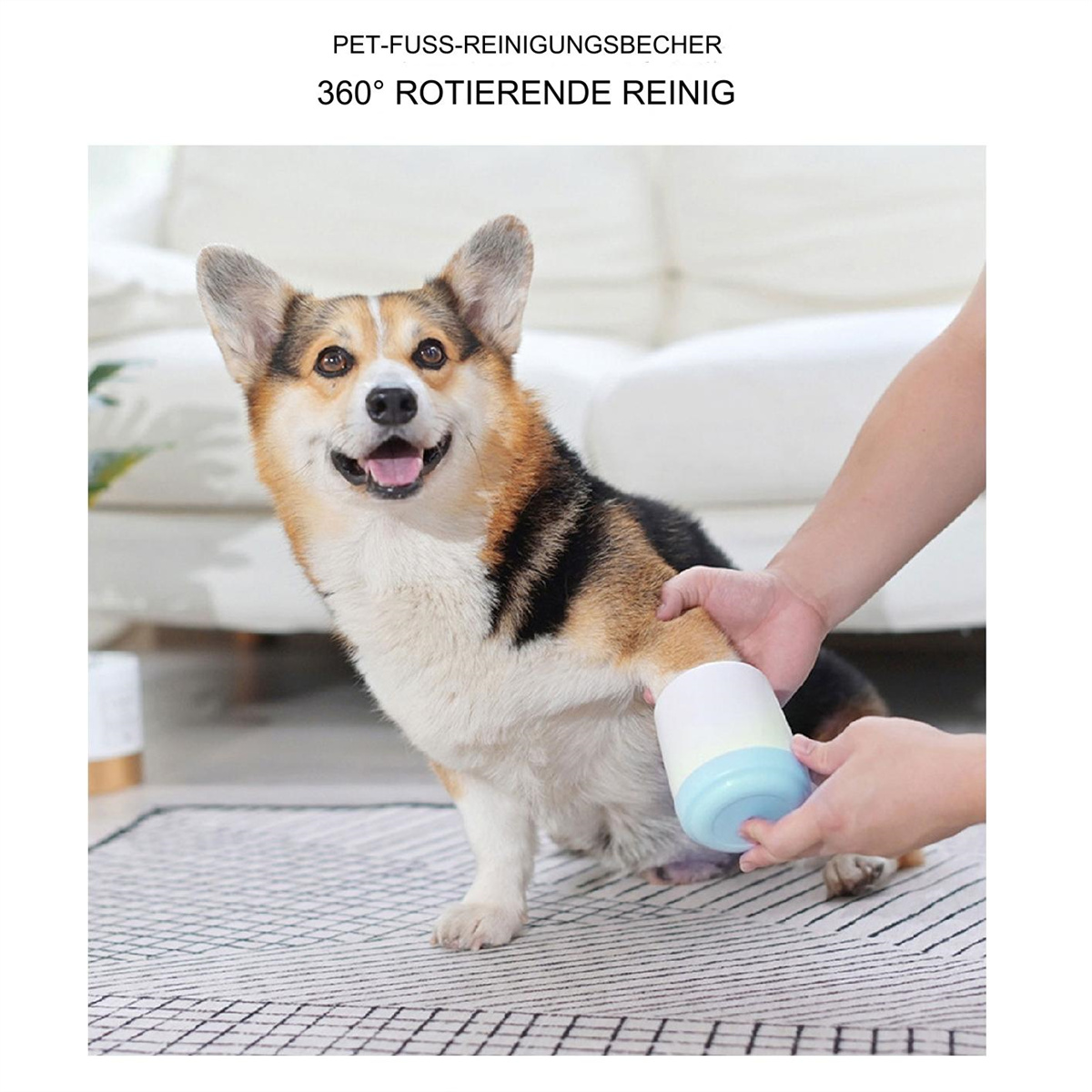 Ein Corgi-Hund lässt sich die Pfote reinigen. Das Reinigungsgerät hat einen blau-weißen Becher.