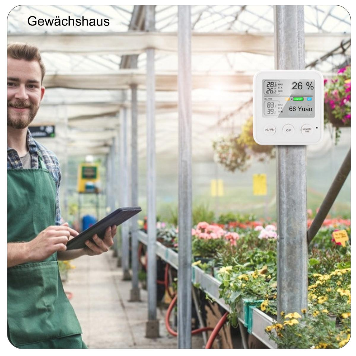 Ein Mann in einem Gewächshaus hält ein Tablet, ein Thermometer ist an einem Pfahl befestigt.