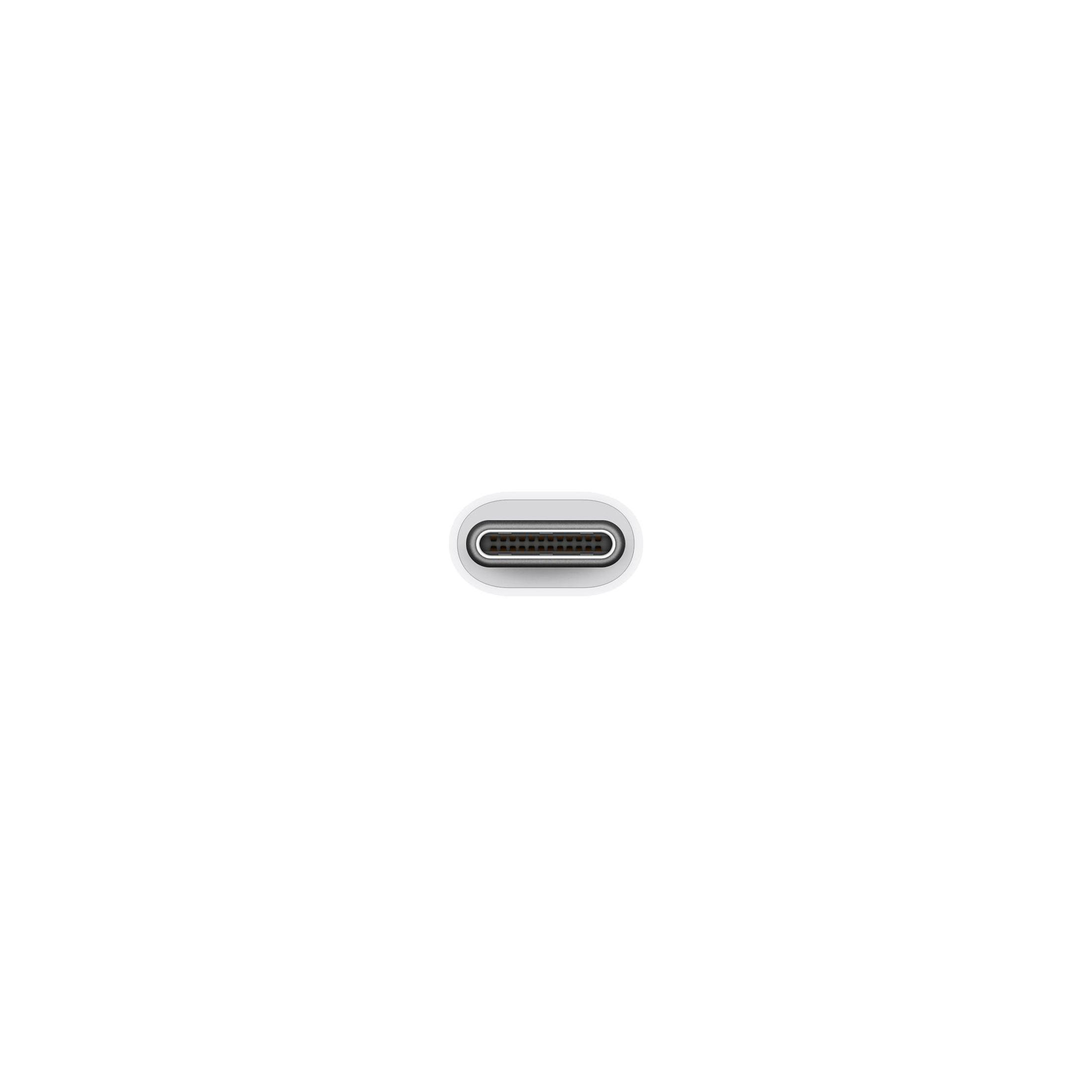 Primo piano di un connettore USB-C. È bianco e ha dei piccoli fori all'interno.