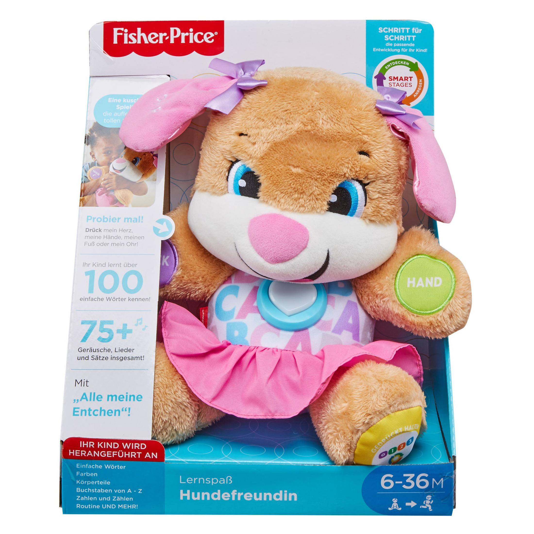 Ein Fisher-Price-Spielzeugwelpe in einer Box. Er hat rosa Ohren und einen rosa Rock.