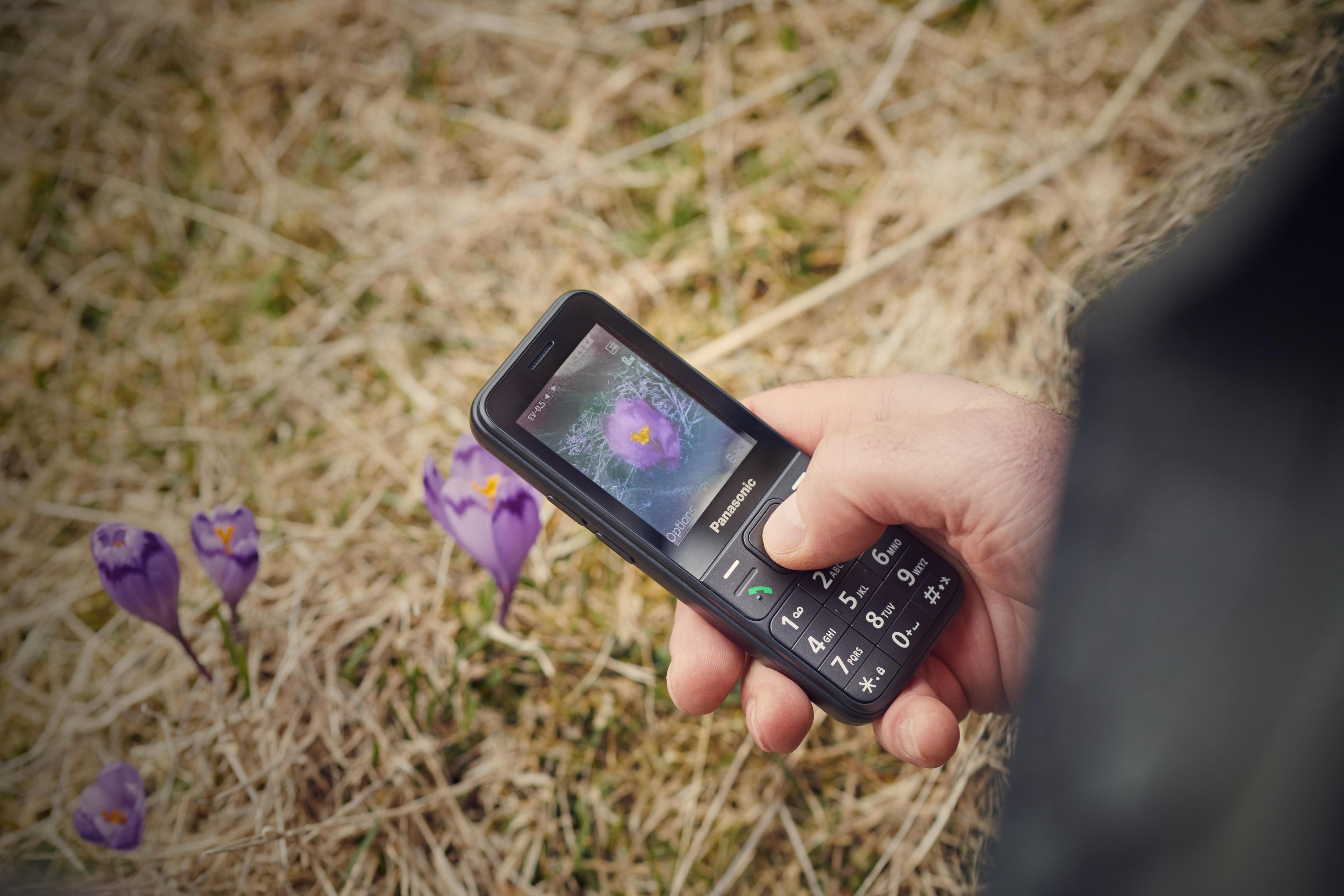 Eine Hand hält ein Panasonic-Telefon mit einem Blumenfoto. Krokusse im unscharfen Hintergrund.