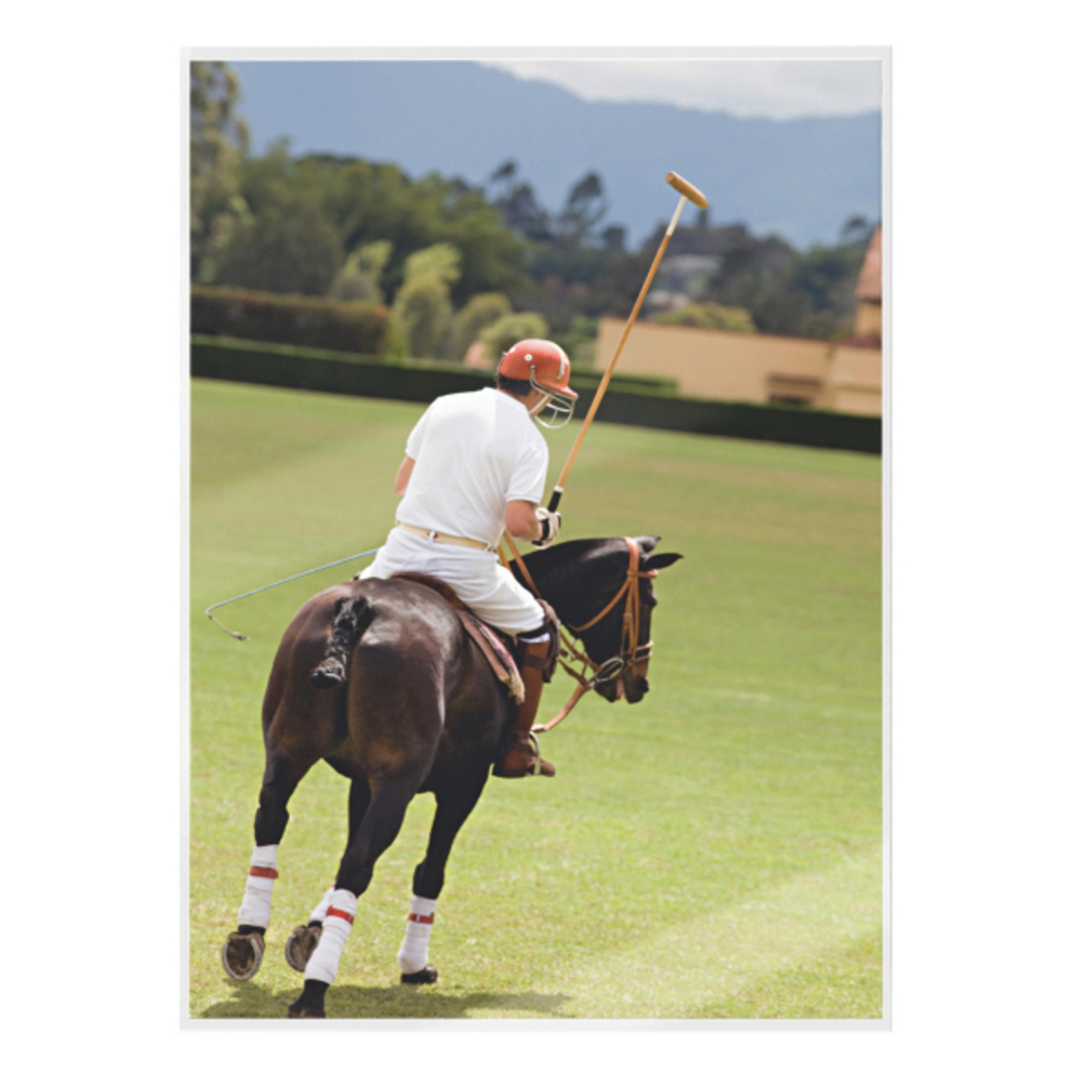 Ein Polospieler auf einem braunen Pferd. Er trägt einen orangefarbenen Helm und hält einen Schläger. Grünes Feld und Bäume im Hintergrund.