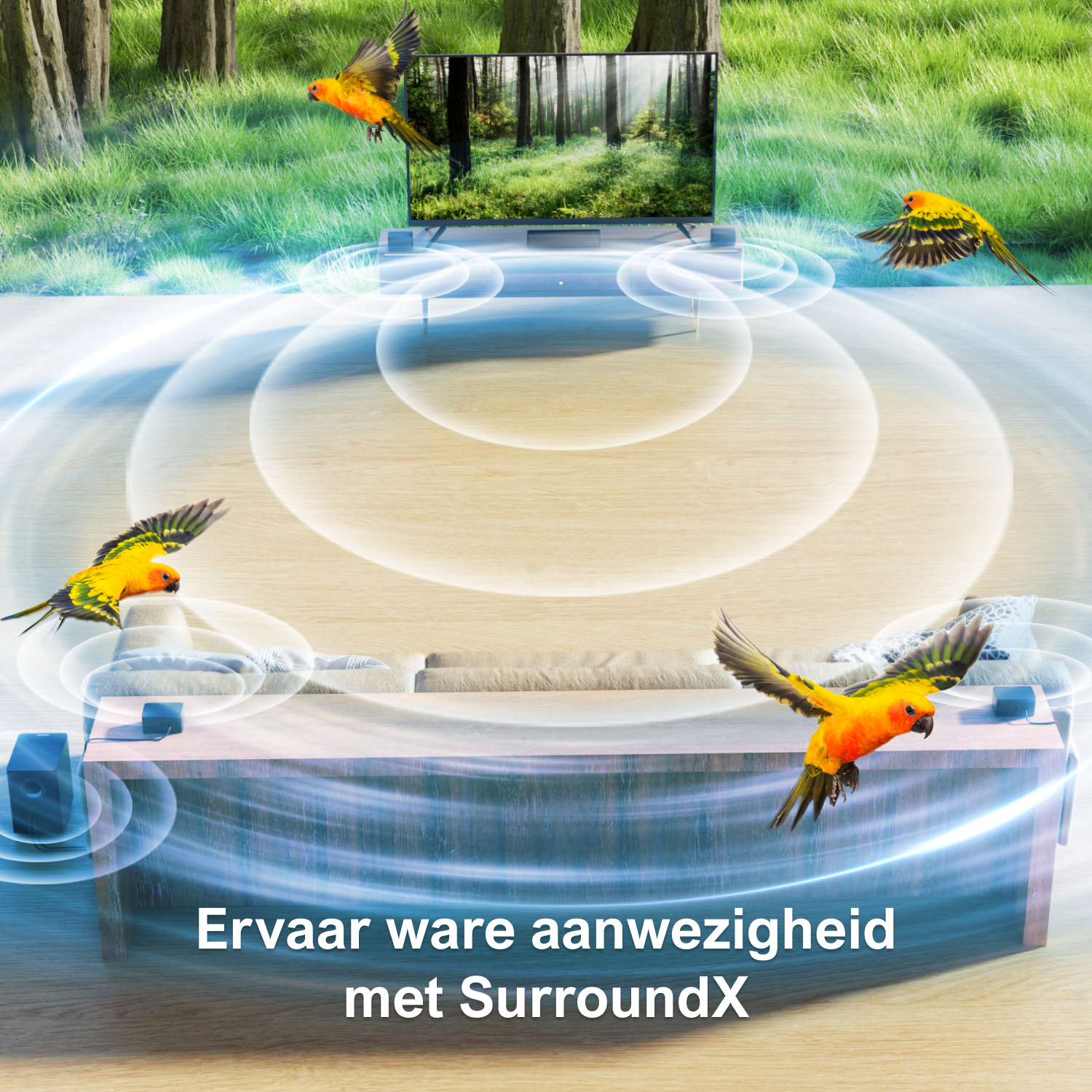 Parrots flying around a TV, sound system. The TV is on a stand. A sofa is at the base of the TV.