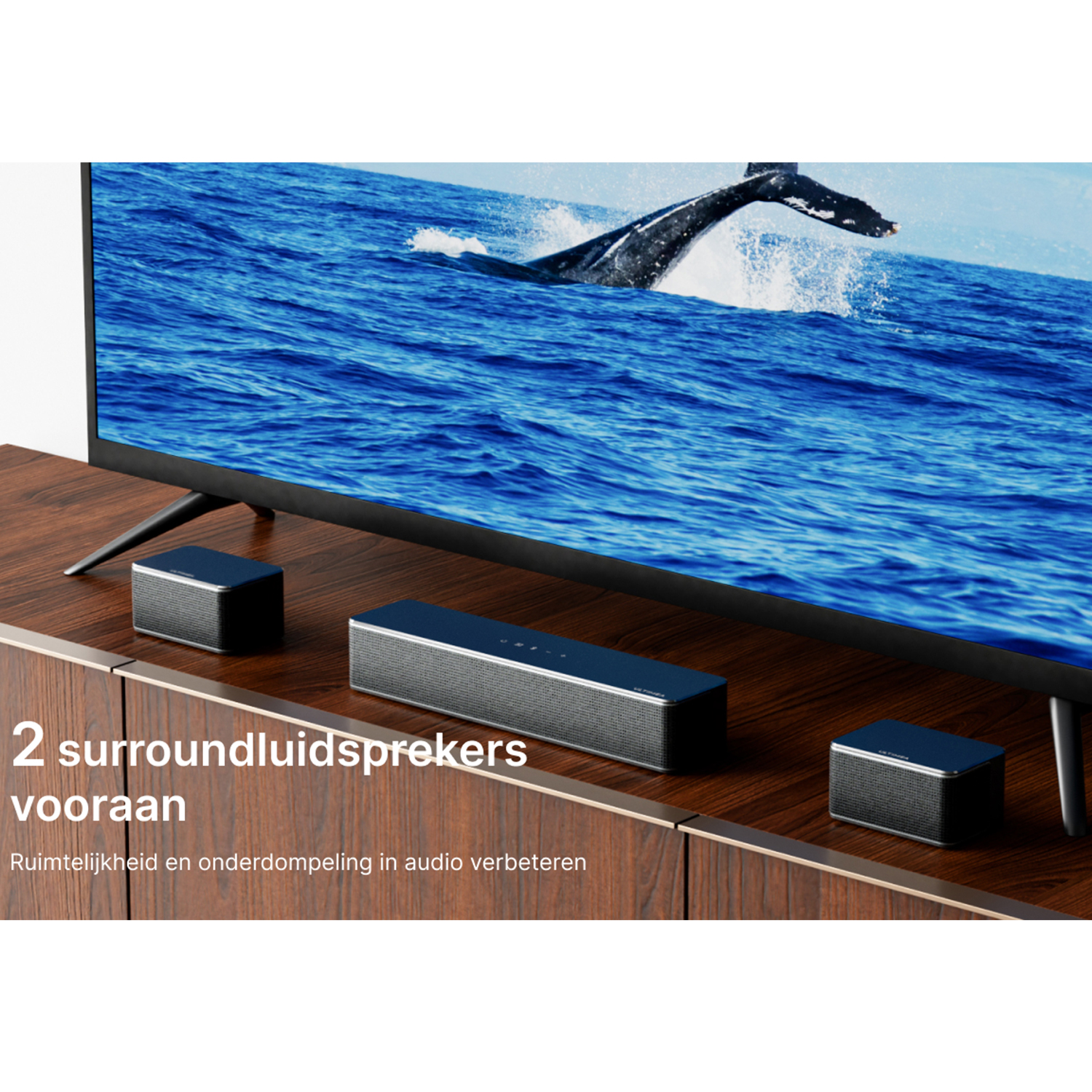 A TV and two surround sound speakers. The TV shows a whale jumping out of water.