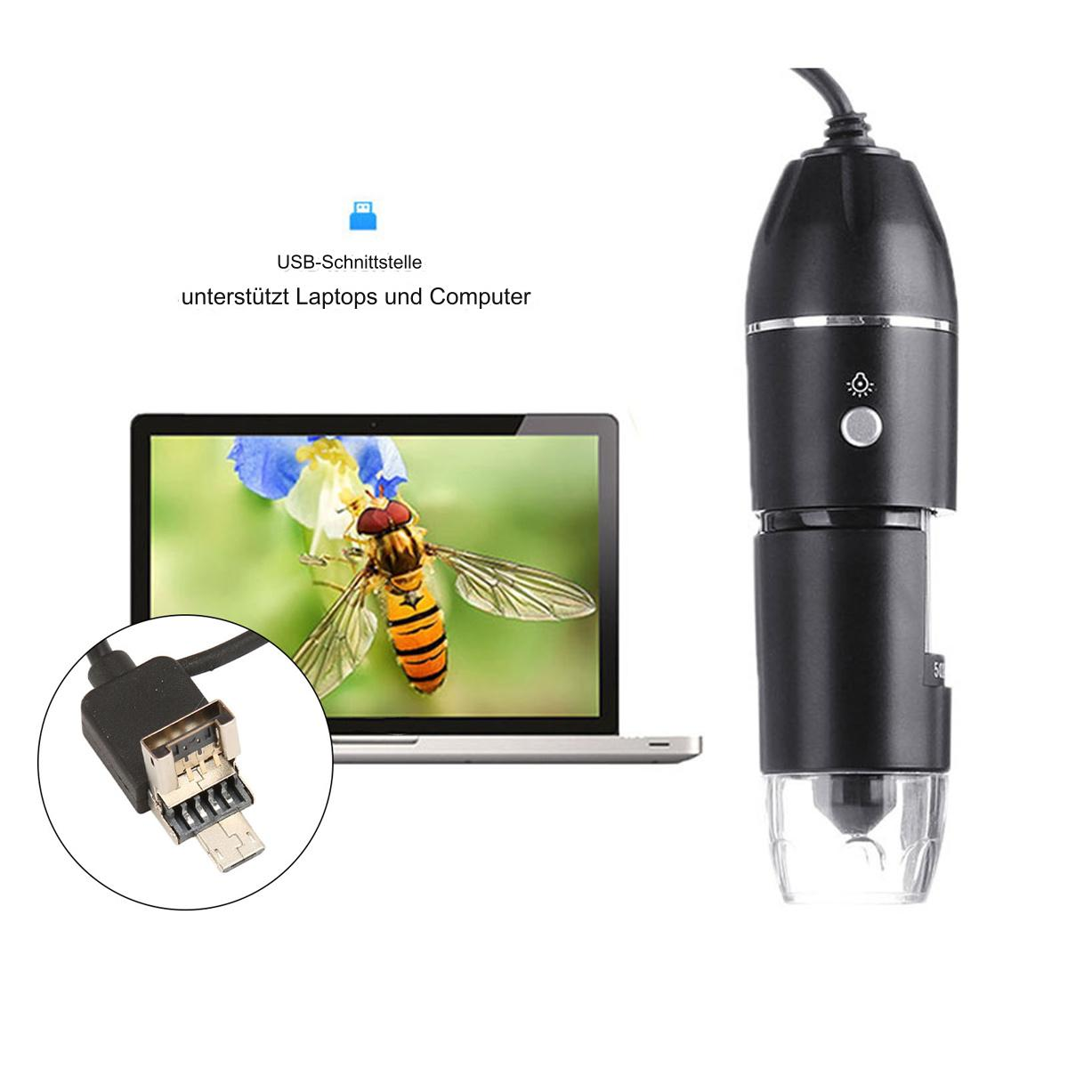 USB-Mikroskop neben einem Laptop mit einem Bienenbild. Auf dem Laptop steht: USB-Schnittstelle.