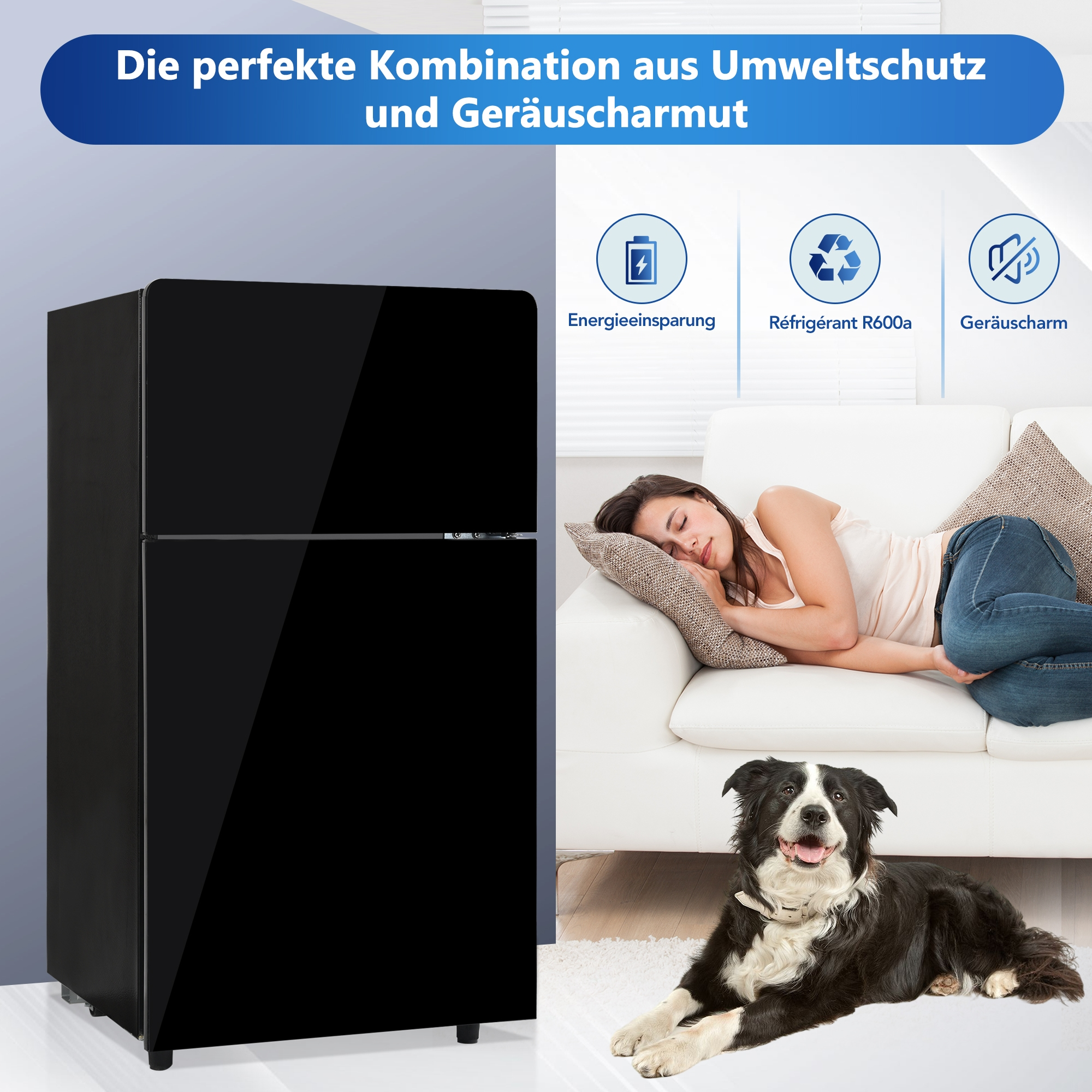 Schwarzer Kühlschrank, eine Frau schläft auf dem Sofa, ein Hund liegt. Der Text lautet: Die perfekte Kombination.