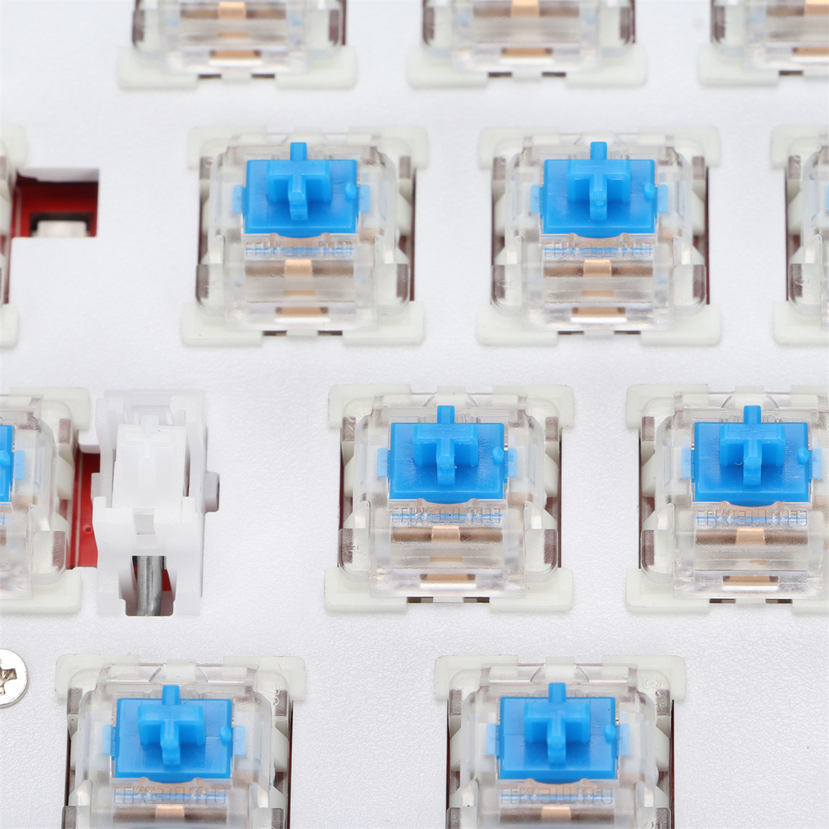 Nahaufnahme von blauen mechanischen Tastaturschaltern mit transparenten Körpern, weißer Hintergrund.