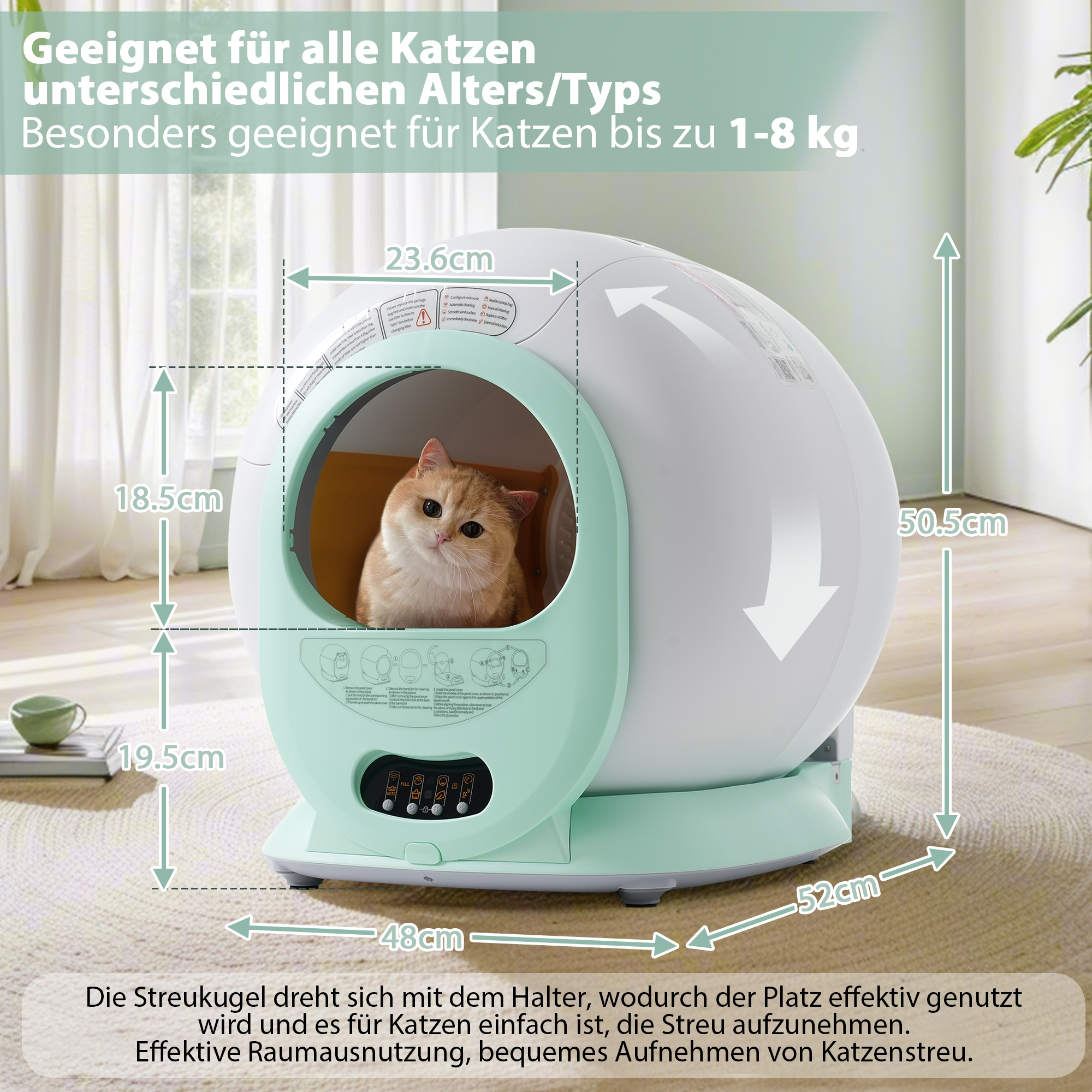 Eine Katze in einer weißen und grünen Katzentoilette, mit Maßen und Text.