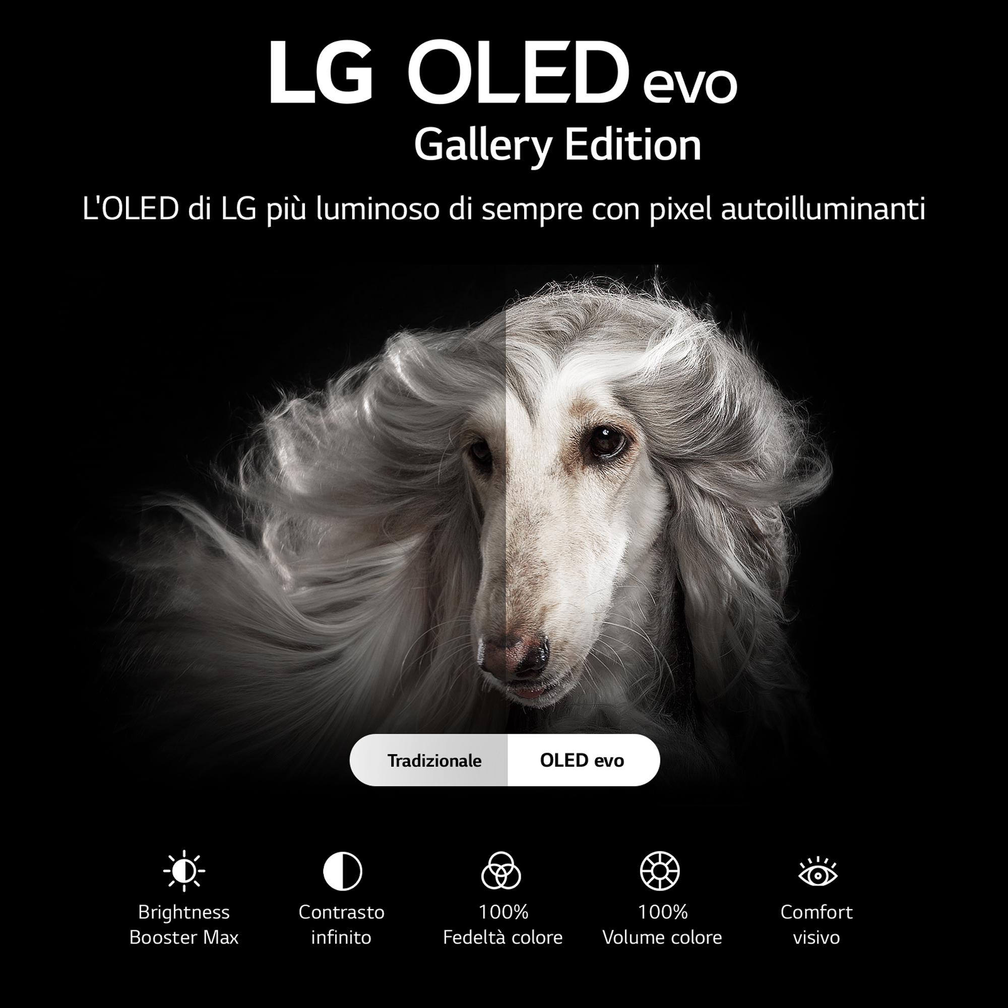 LG OLED evo TV, un ritratto di cane e icone relative alla qualità dello schermo.