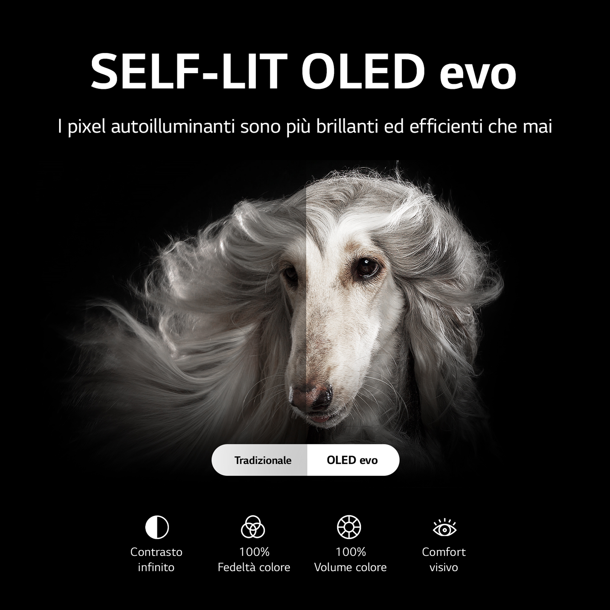Twarz psa jest podzielona na dwie części; lewa to tradycyjna, prawa to OLED evo. Tekst: Samoświecący OLED evo.