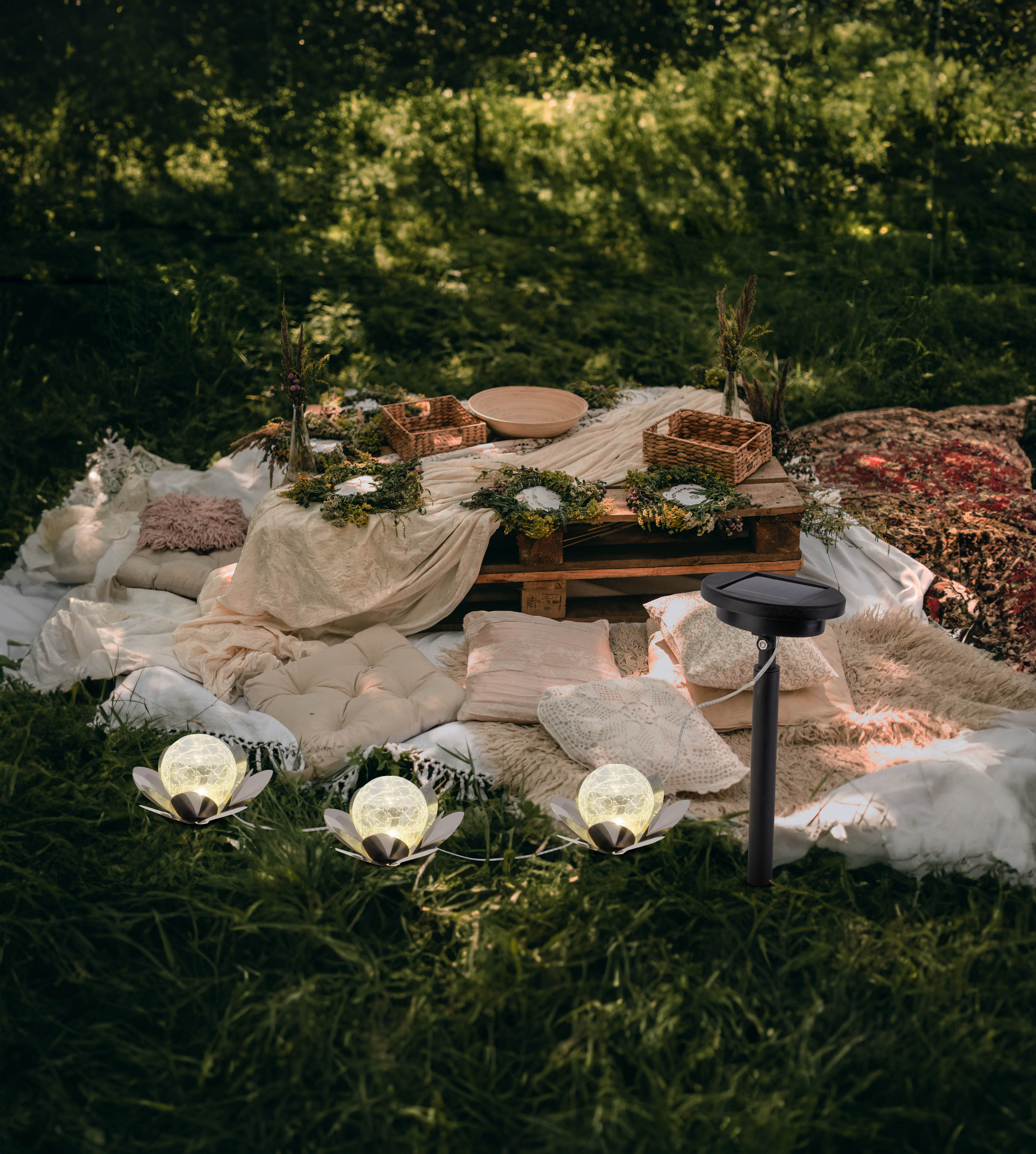 Ein Picknick-Arrangement mit Solarleuchten, Kissen und einem Holztisch auf einer Wiese.