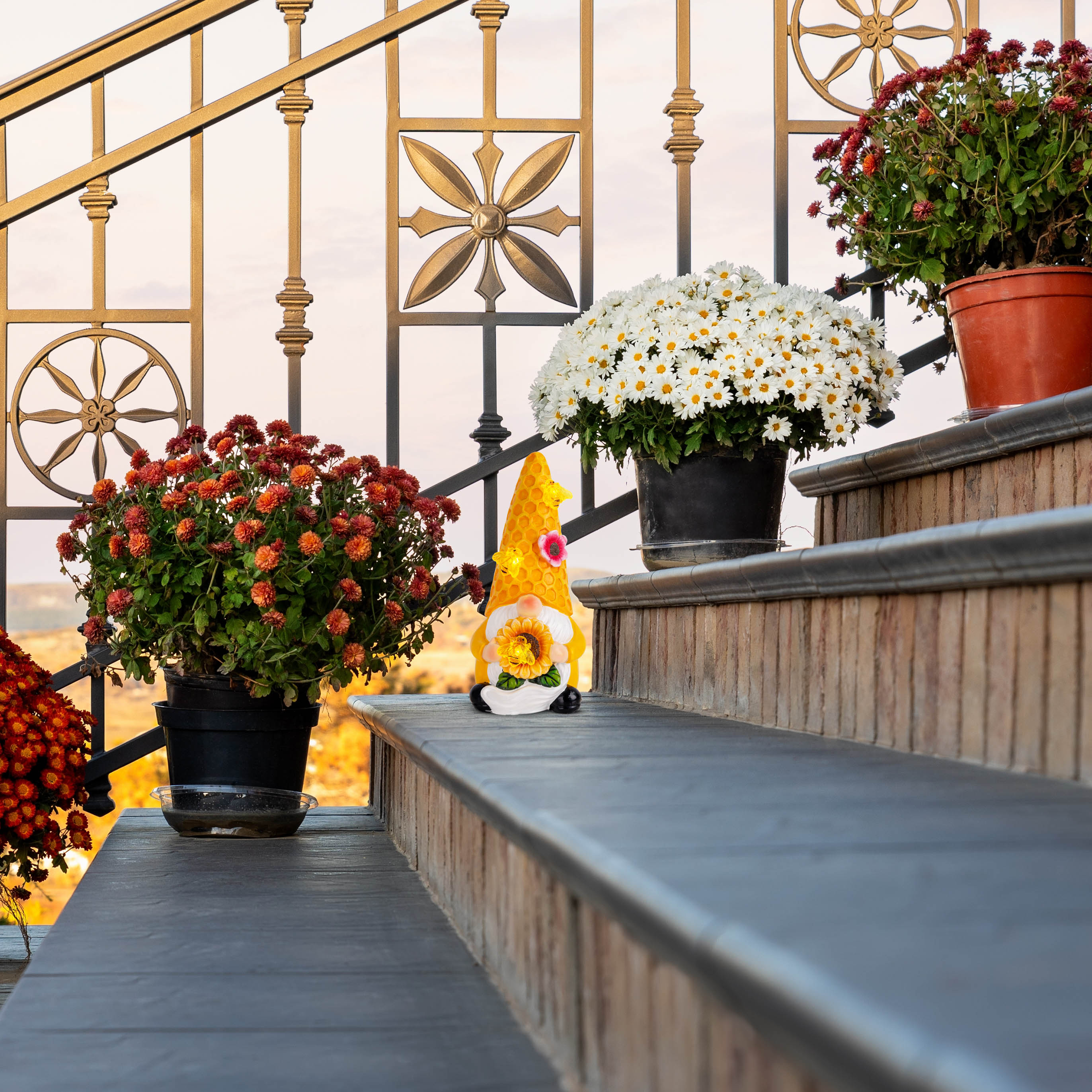 Eine Gartenszene mit Topf-Chrysanthemen auf Stufen, einem Zwerg und einem schmiedeeisernen Geländer bei Sonnenuntergang.