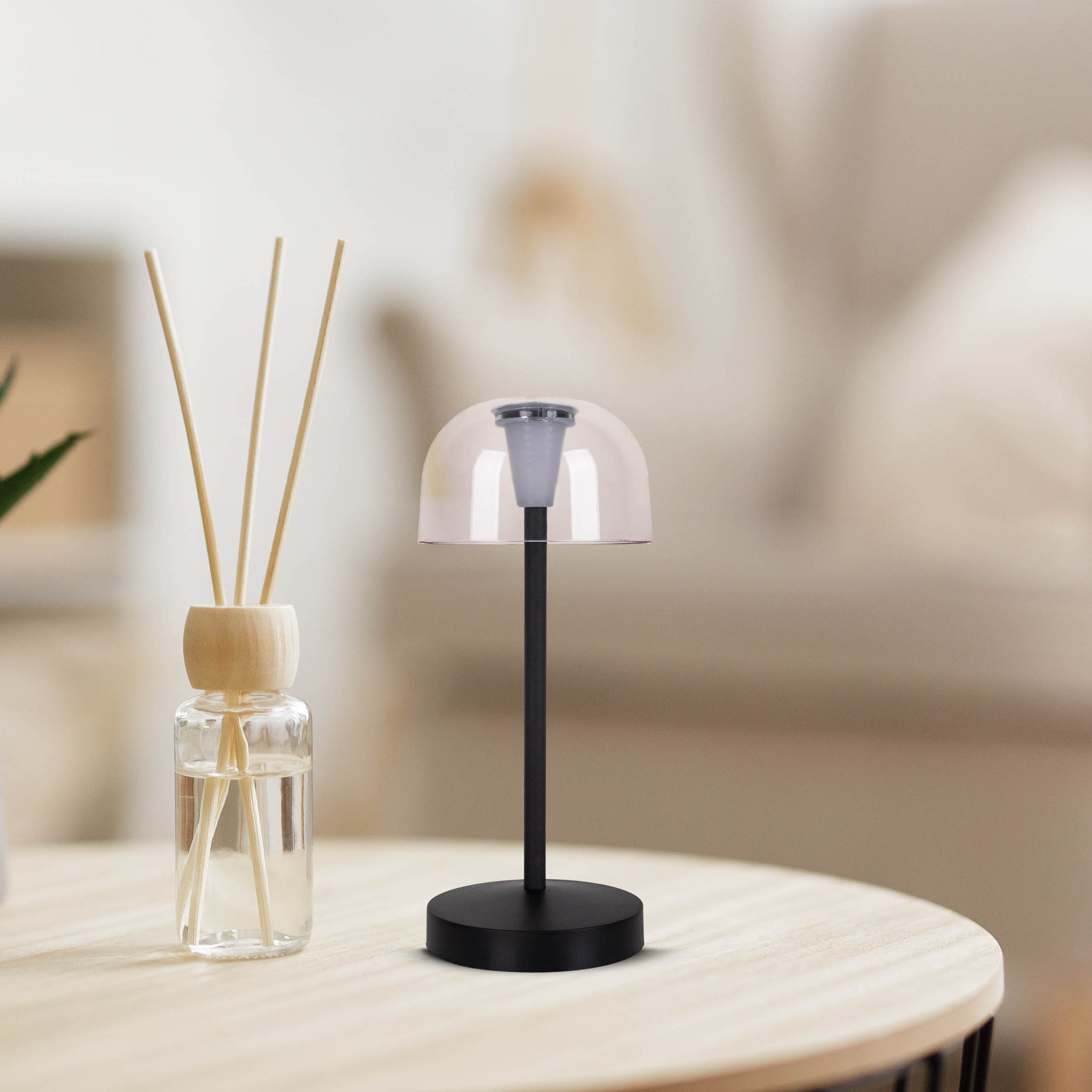 Una piccola lampada su un tavolo di legno con un diffusore e canne accanto.